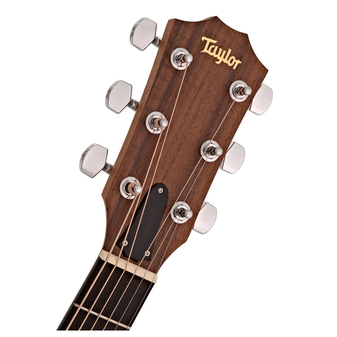Đàn Guitar Acoustic Taylor Academy A12 w/Bag-Mai Nguyên Music