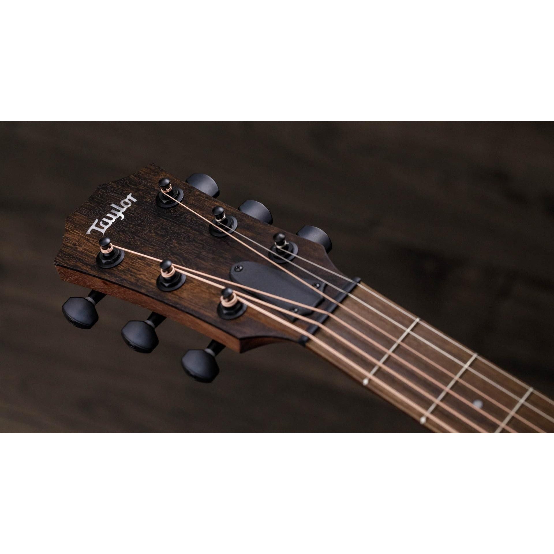 Đàn Guitar Acoustic Taylor AD11e-SB American Dream-Mai Nguyên Music