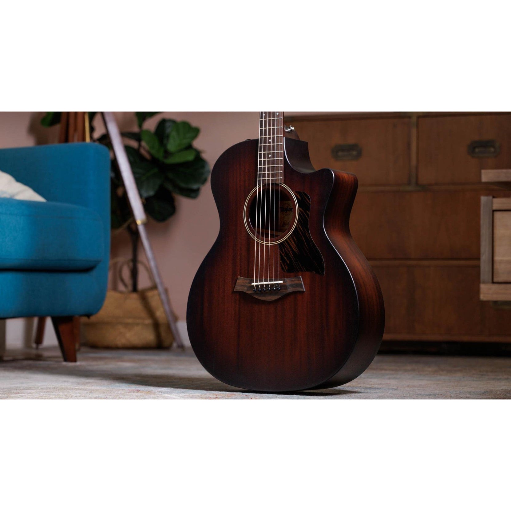 Đàn Guitar Acoustic Taylor AD24ce American Dream-Mai Nguyên Music