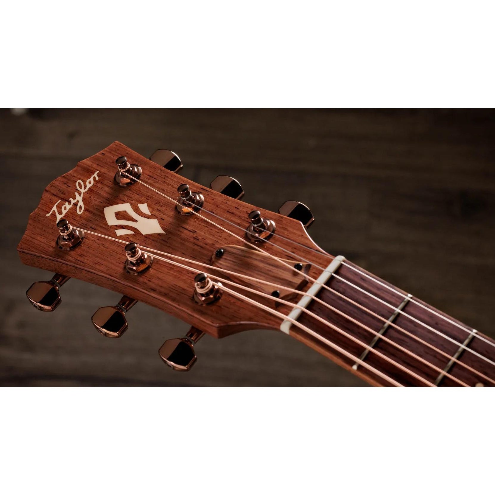 Đàn Guitar Acoustic Taylor Ben Harper Gold Label 512e Special Edition - Shaded Edgeburst-Mai Nguyên Music