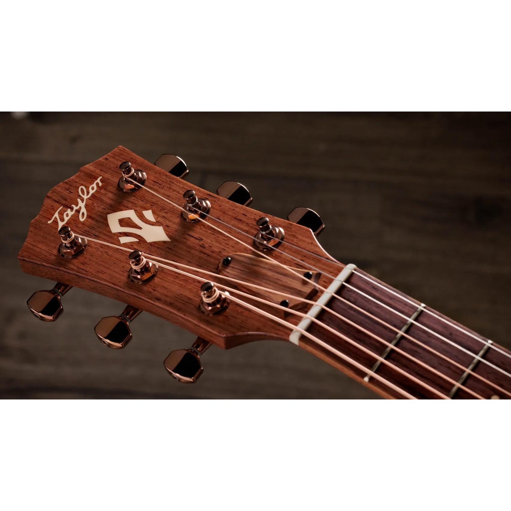 Đàn Guitar Acoustic Taylor Ben Harper Gold Label 512e Special Edition - Shaded Edgeburst-Mai Nguyên Music