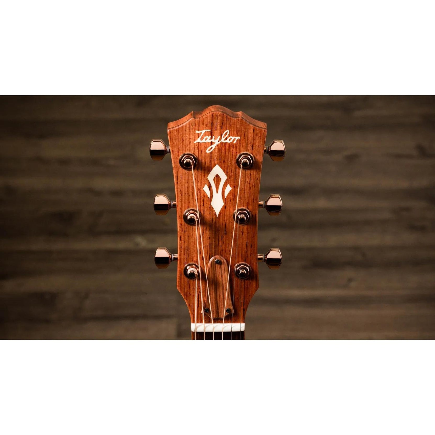 Đàn Guitar Acoustic Taylor Ben Harper Gold Label 512e Special Edition - Shaded Edgeburst-Mai Nguyên Music