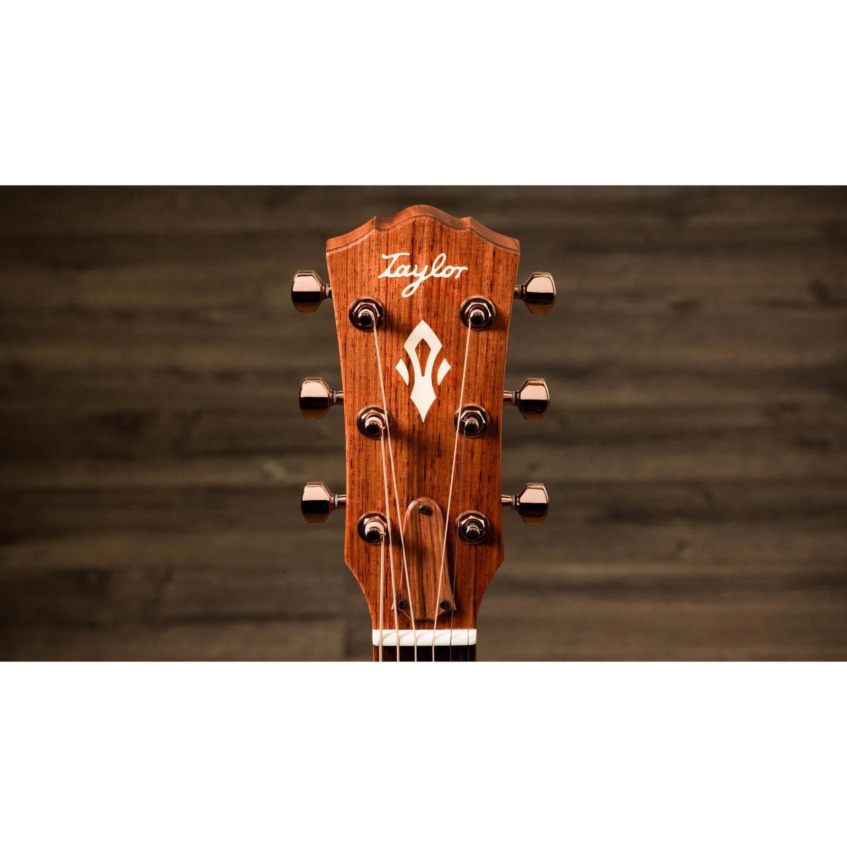Đàn Guitar Acoustic Taylor Ben Harper Gold Label 512e Special Edition - Shaded Edgeburst-Mai Nguyên Music