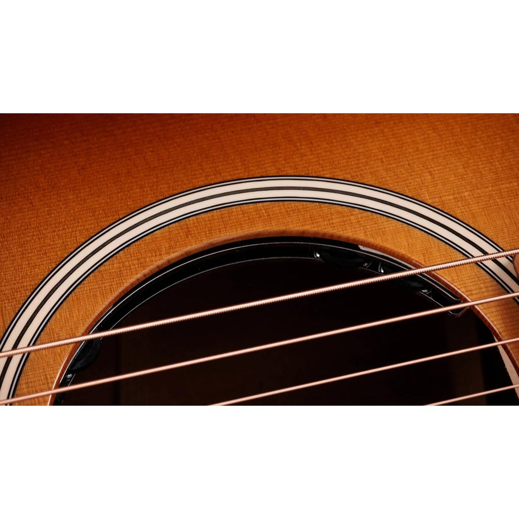 Đàn Guitar Acoustic Taylor Ben Harper Gold Label 512e Special Edition - Shaded Edgeburst-Mai Nguyên Music