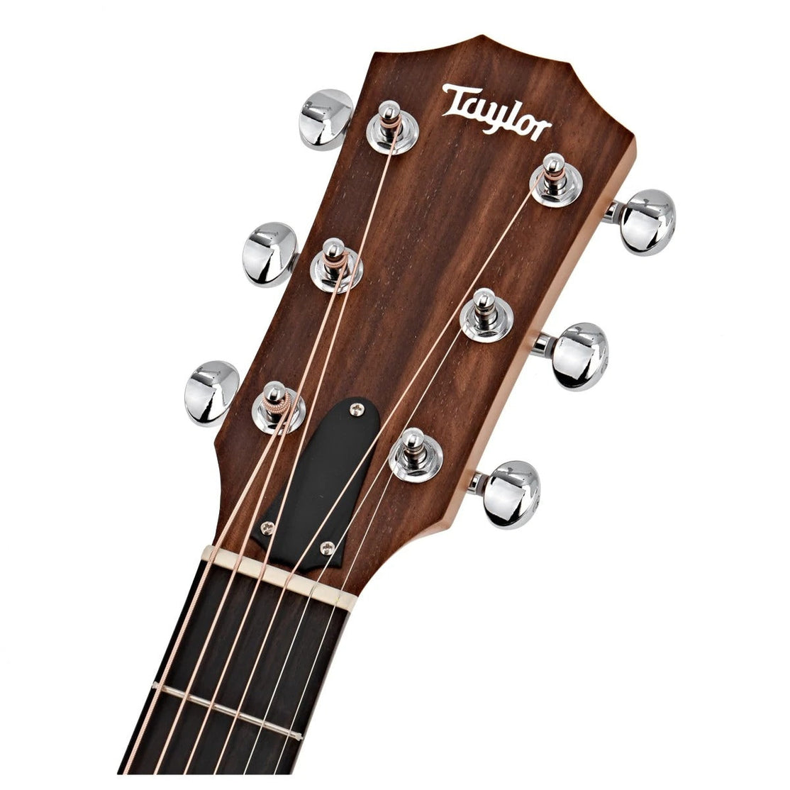 Đàn Guitar Acoustic Taylor Big Baby Taylor (BBT) w/Bag-Mai Nguyên Music