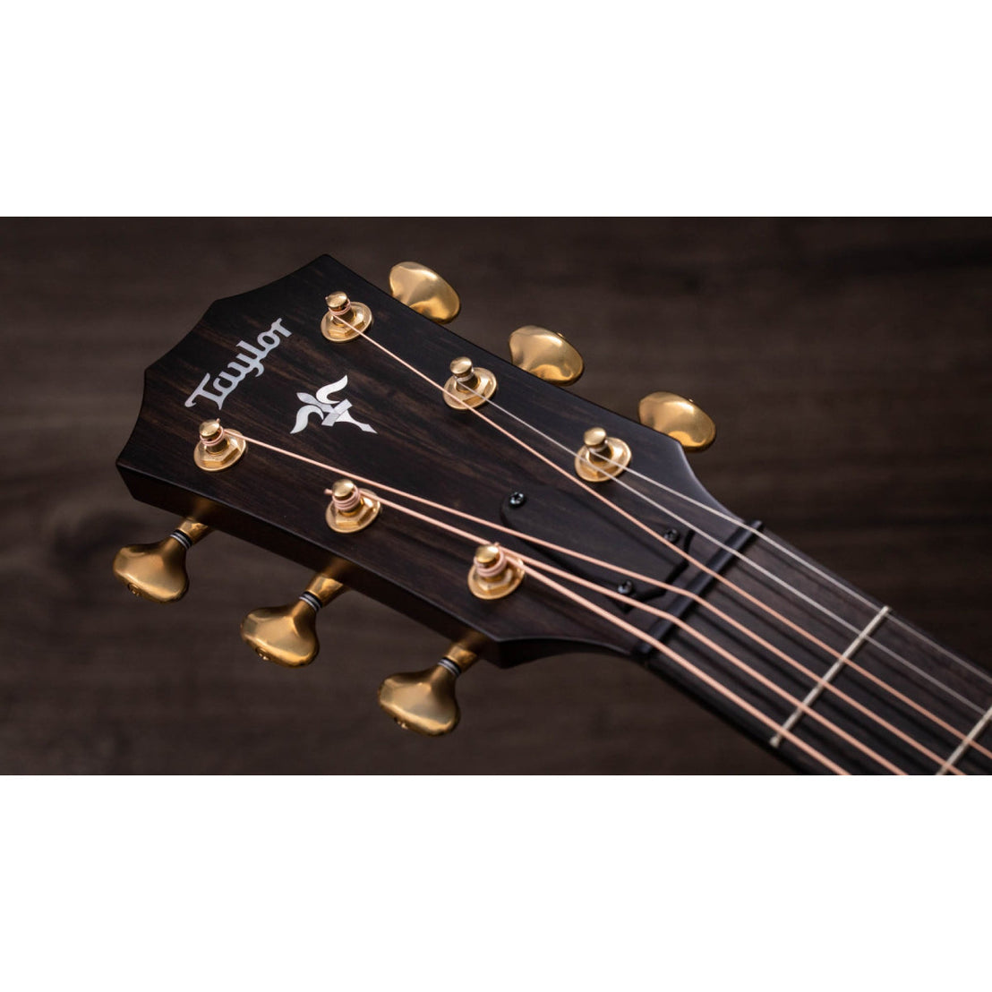Đàn Guitar Acoustic Taylor Builder's Edition 614ce WHB w/Case-Mai Nguyên Music