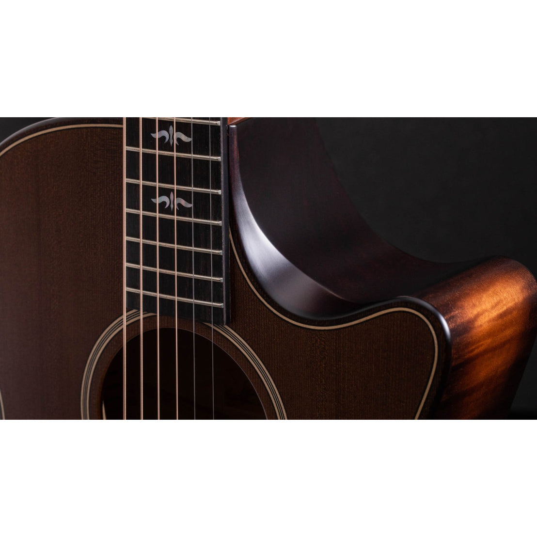 Đàn Guitar Acoustic Taylor Builder's Edition 614ce WHB w/Case-Mai Nguyên Music
