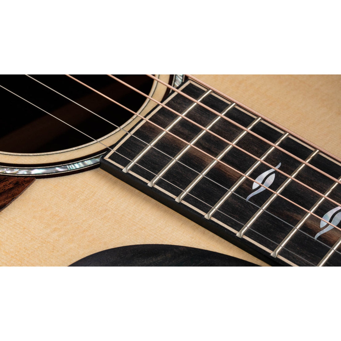Đàn Guitar Acoustic Taylor Builder's Edition 816ce w/Case-Mai Nguyên Music