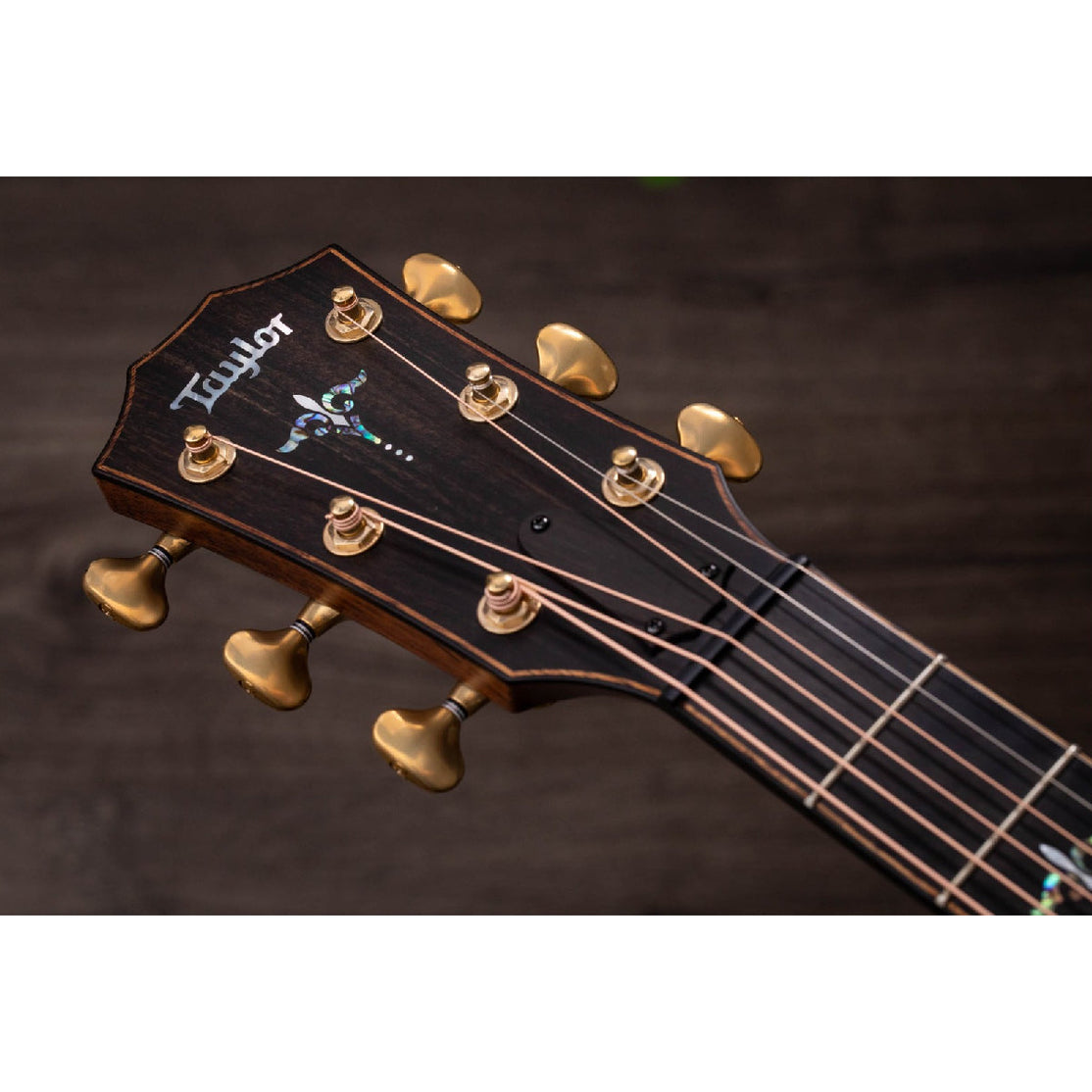 Đàn Guitar Acoustic Taylor Builder's Edition 912ce w/Case-Mai Nguyên Music