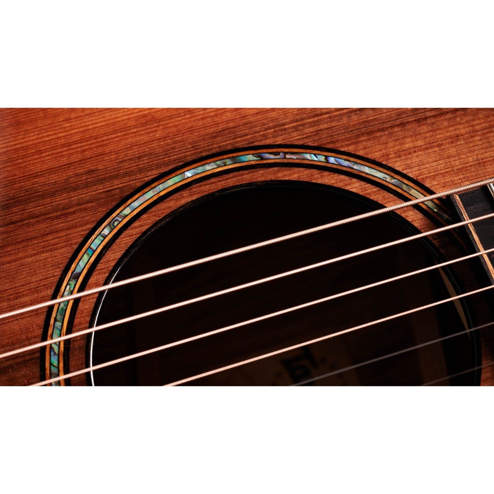 Đàn Guitar Acoustic Taylor Builder's Edition 912ce w/Case-Mai Nguyên Music