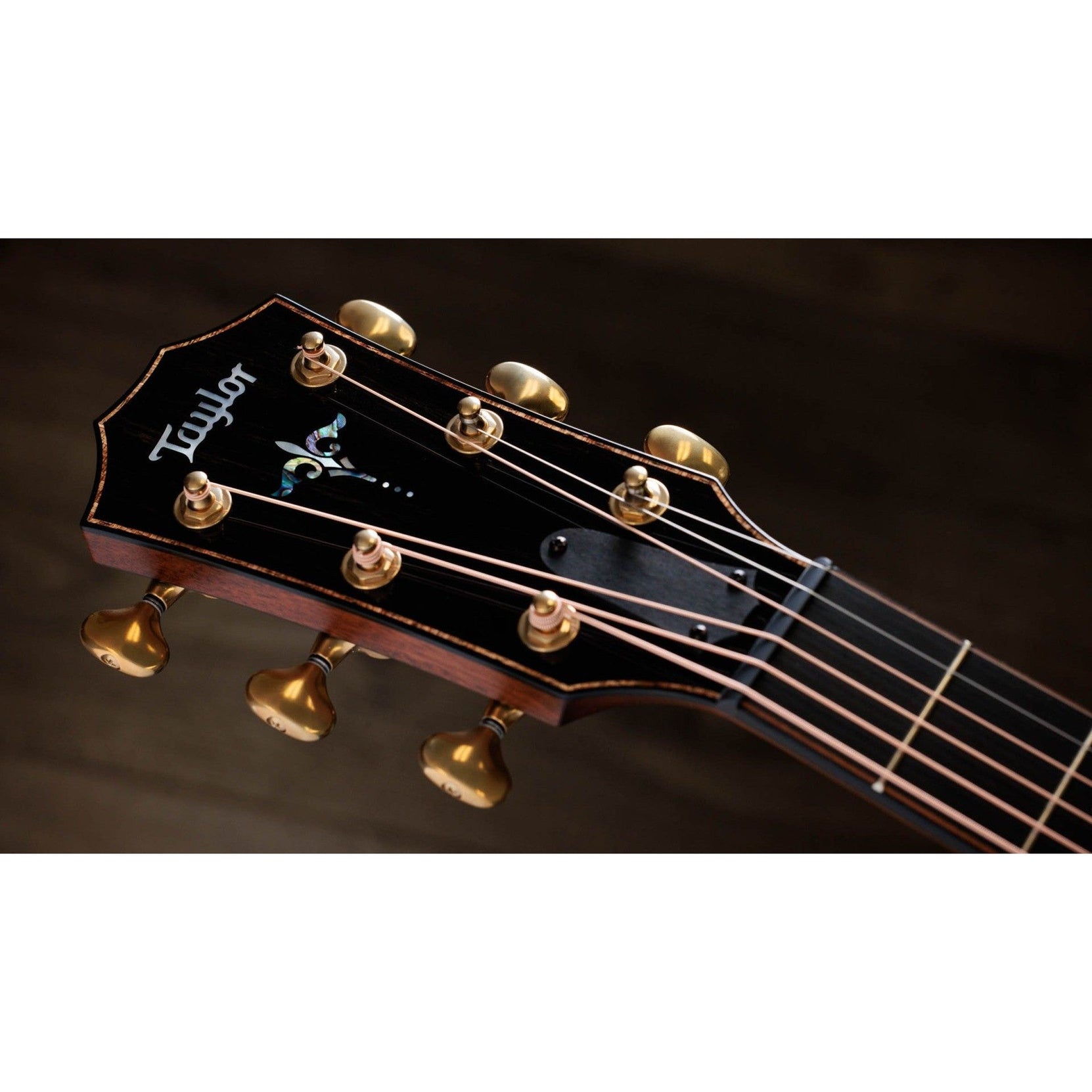 Đàn Guitar Acoustic Taylor Builder's Edition 912ce w/Case-Mai Nguyên Music