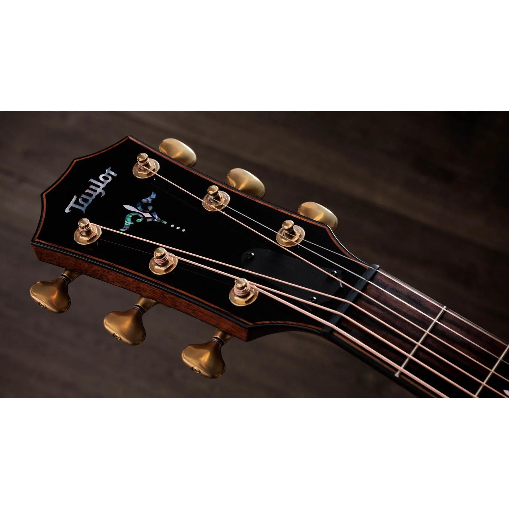 Đàn Guitar Acoustic Taylor Builder's Edition 914ce LTD Macassar Ebony - Shaded Edge Burst-Mai Nguyên Music