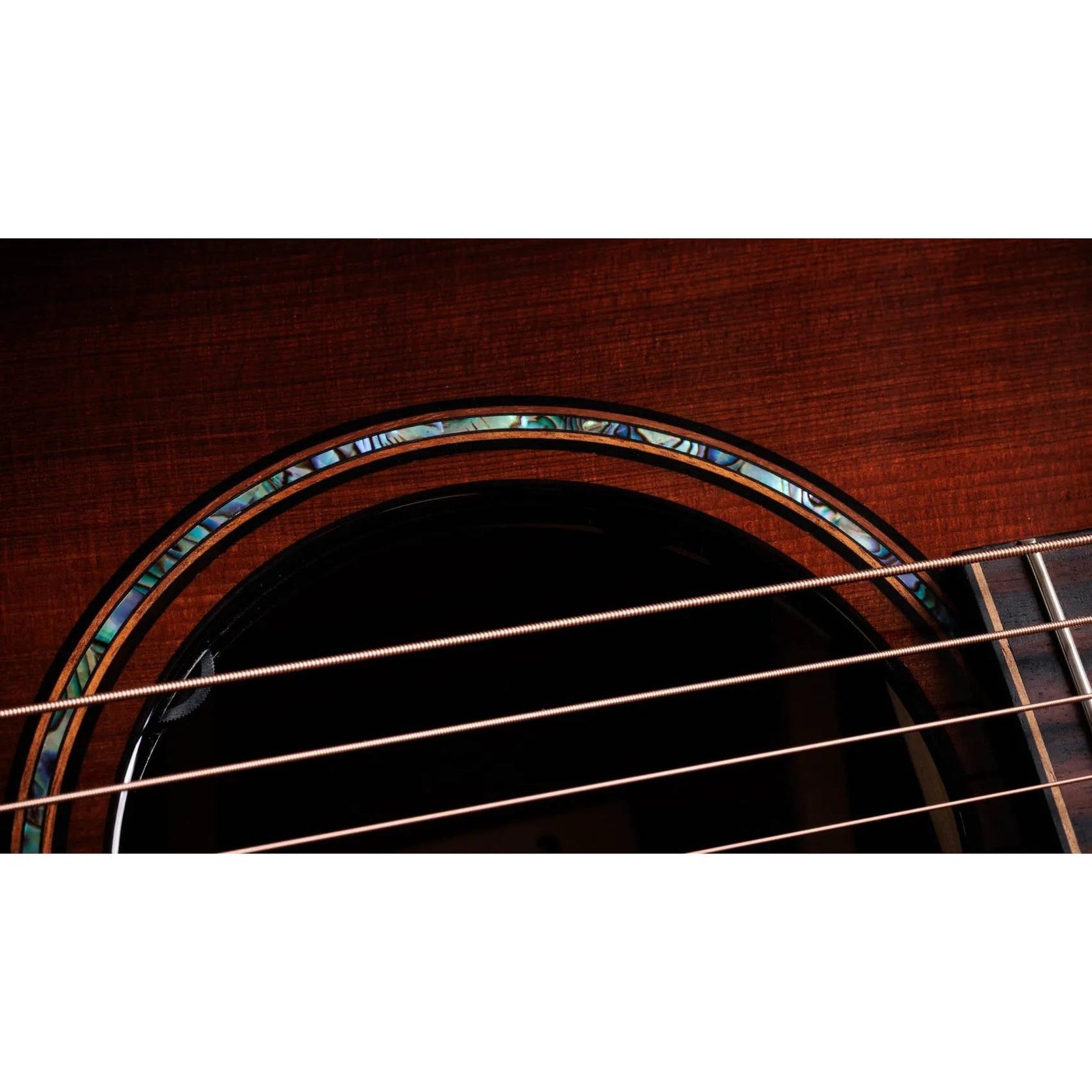 Đàn Guitar Acoustic Taylor Builder's Edition 914ce LTD Macassar Ebony - Shaded Edge Burst-Mai Nguyên Music