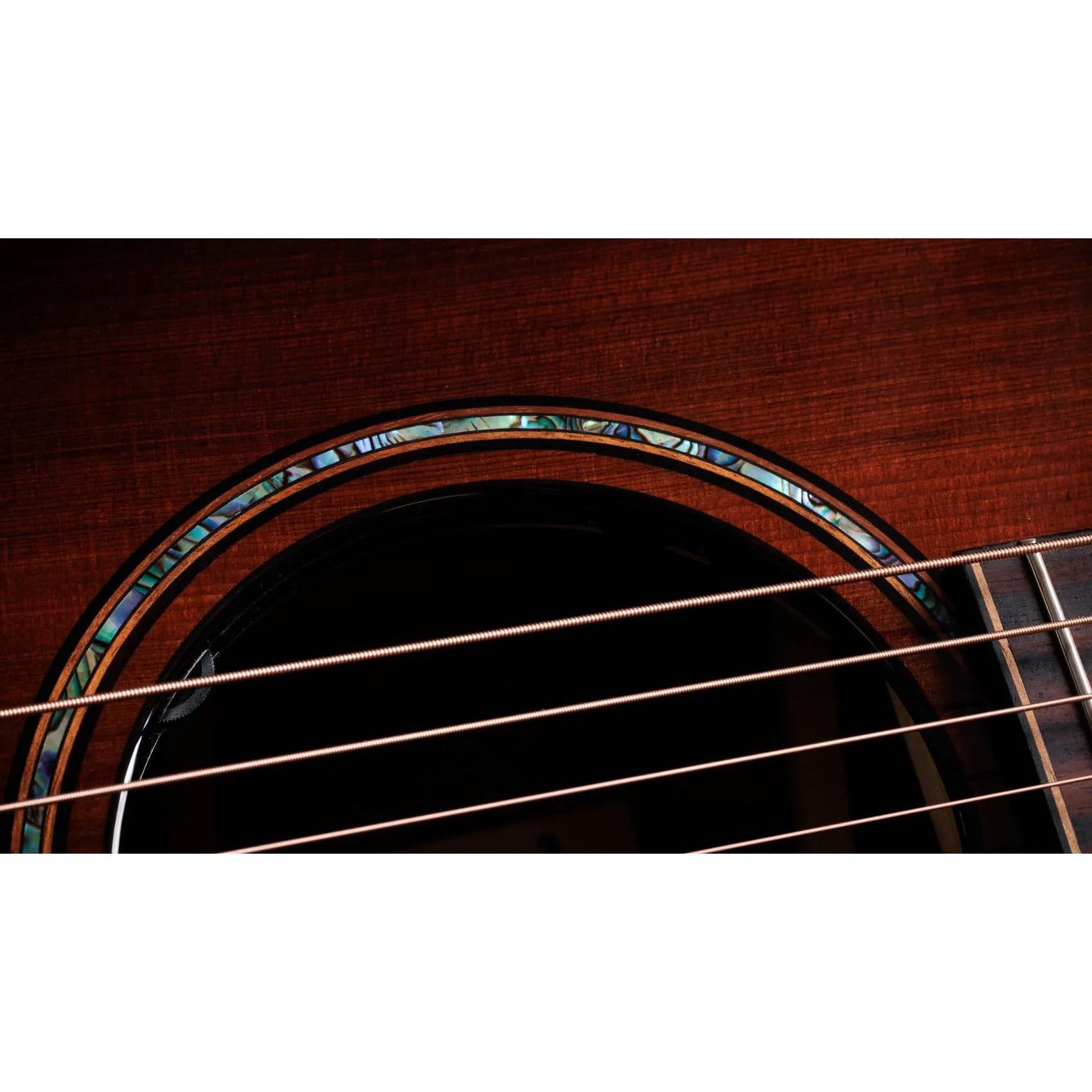 Đàn Guitar Acoustic Taylor Builder's Edition 914ce LTD Macassar Ebony - Shaded Edge Burst-Mai Nguyên Music