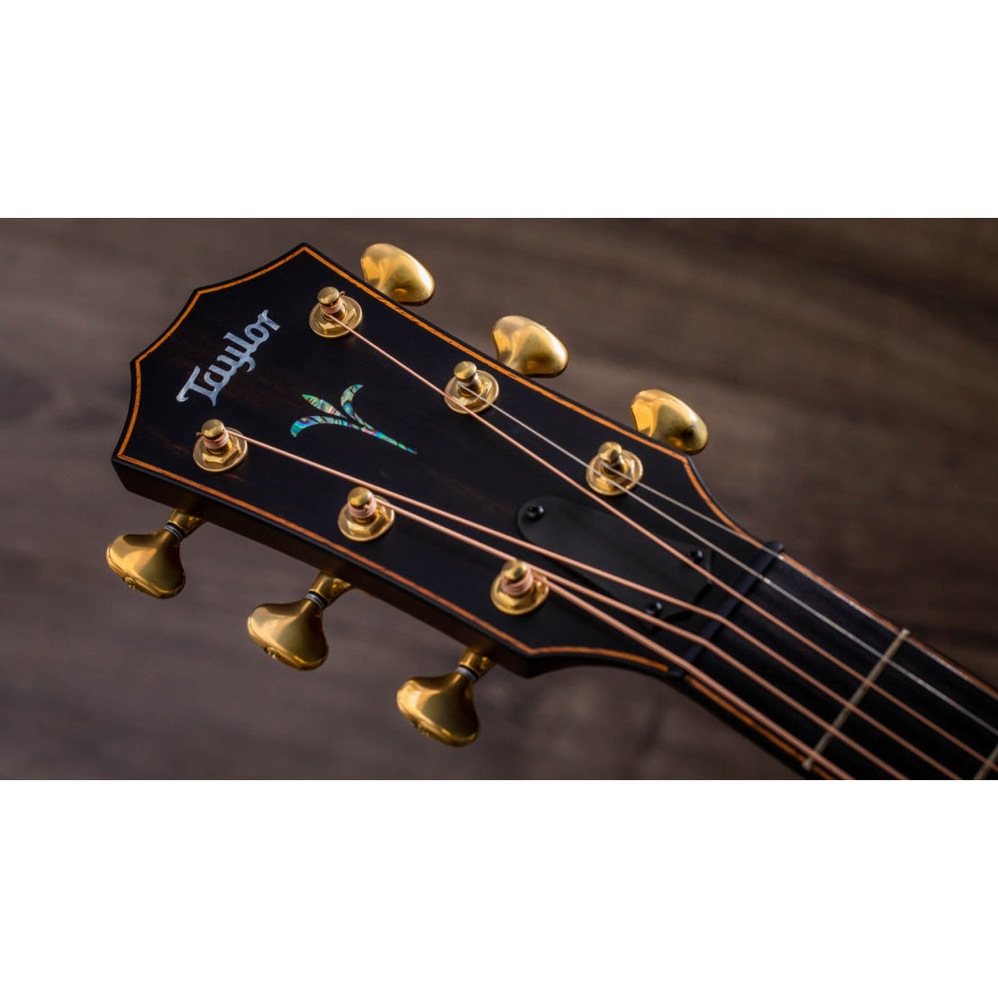 Đàn Guitar Acoustic Taylor Builder's Edition K14ce w/Case-Mai Nguyên Music