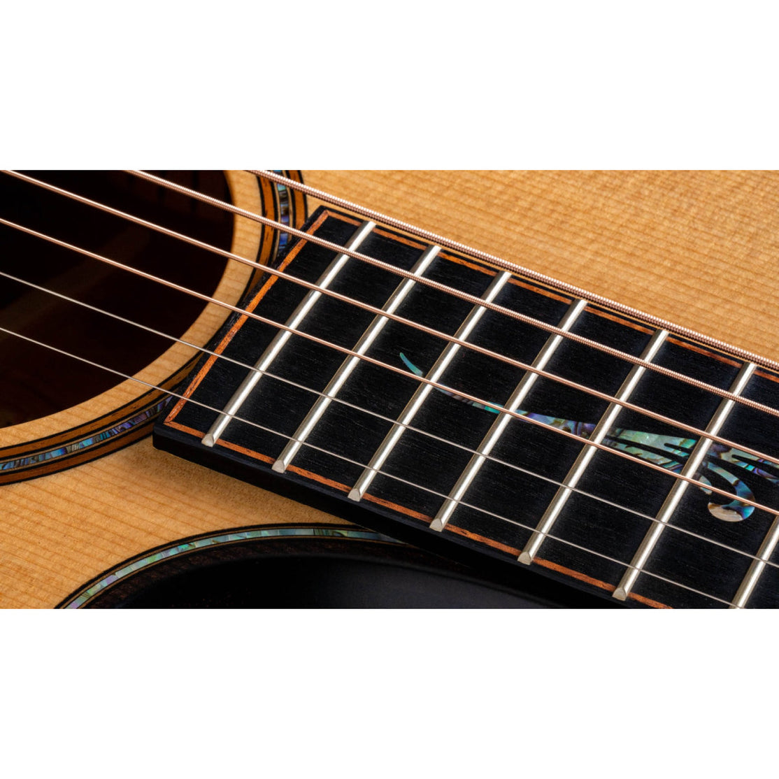 Đàn Guitar Acoustic Taylor Builder's Edition K14ce w/Case-Mai Nguyên Music