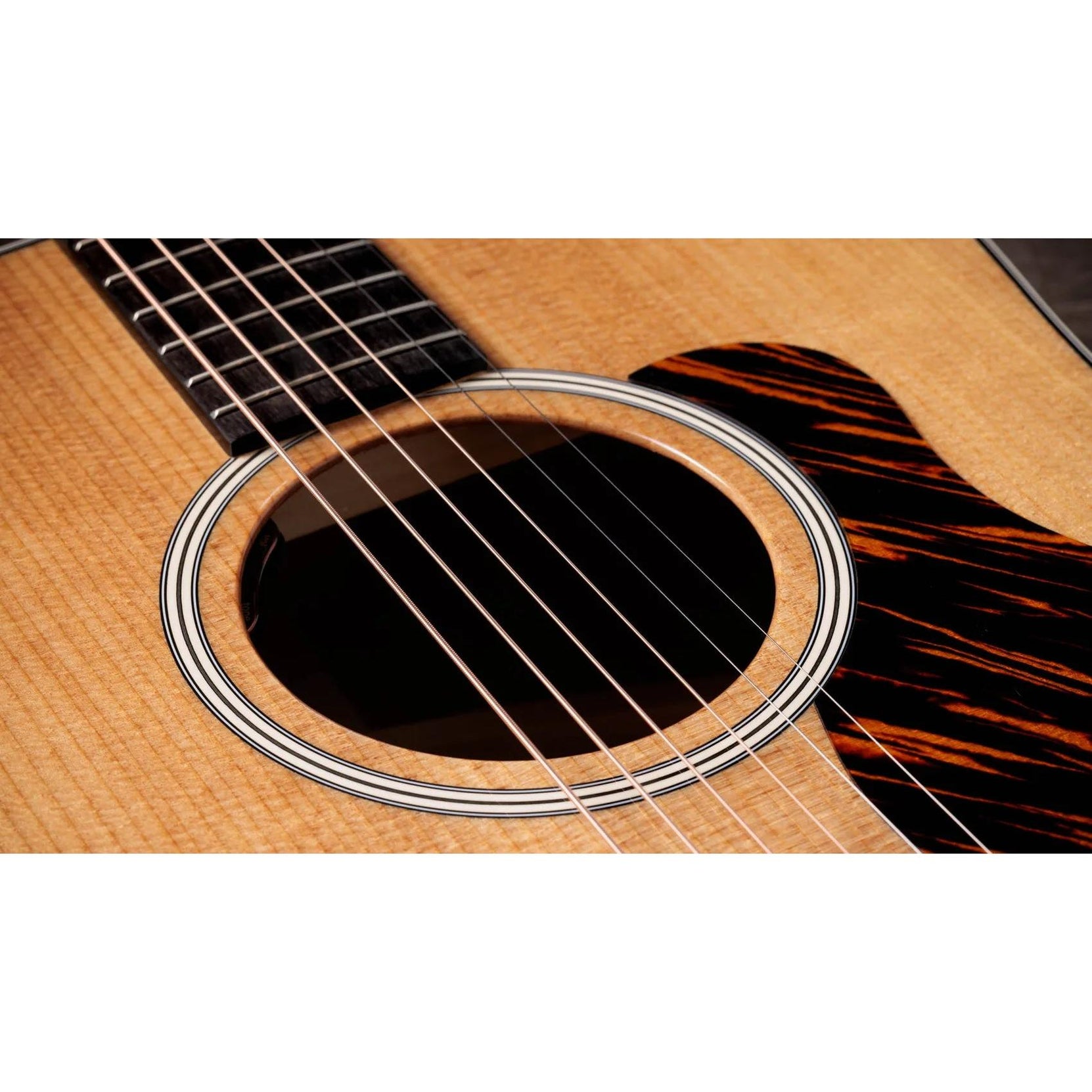 Đàn Guitar Acoustic Taylor Gold Label 510e - Natural-Mai Nguyên Music