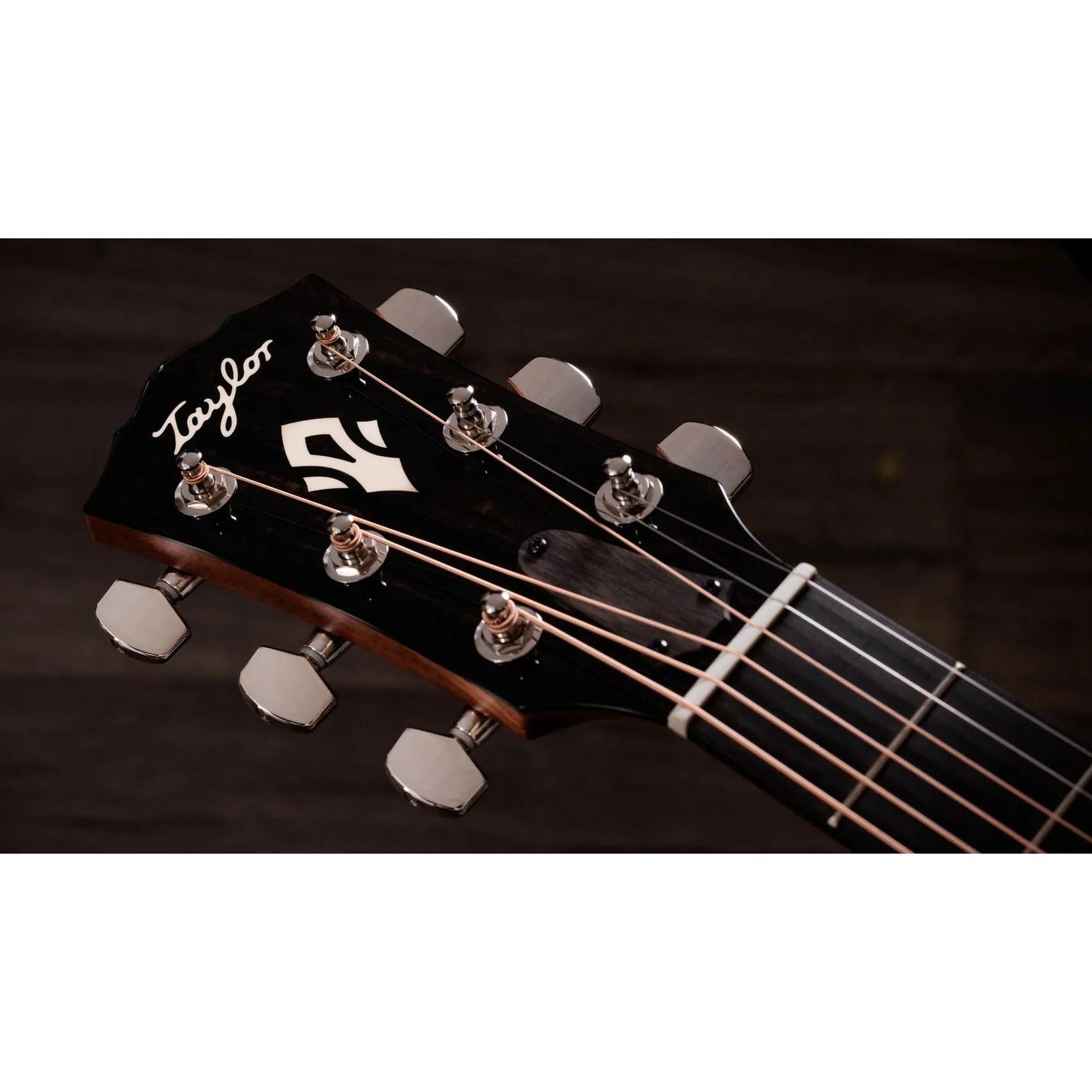Đàn Guitar Acoustic Taylor Gold Label 510e - Natural-Mai Nguyên Music