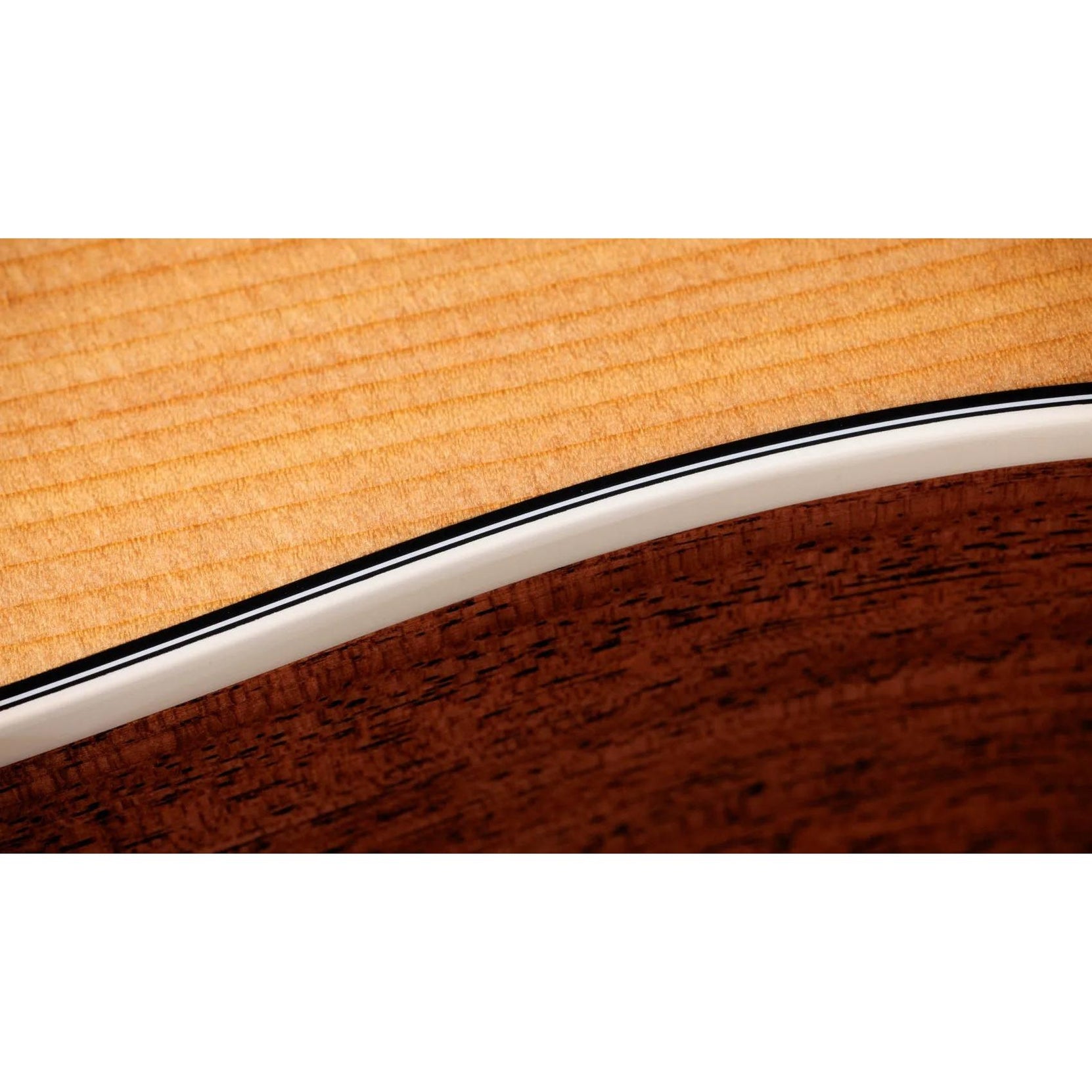 Đàn Guitar Acoustic Taylor Gold Label 510e - Natural-Mai Nguyên Music