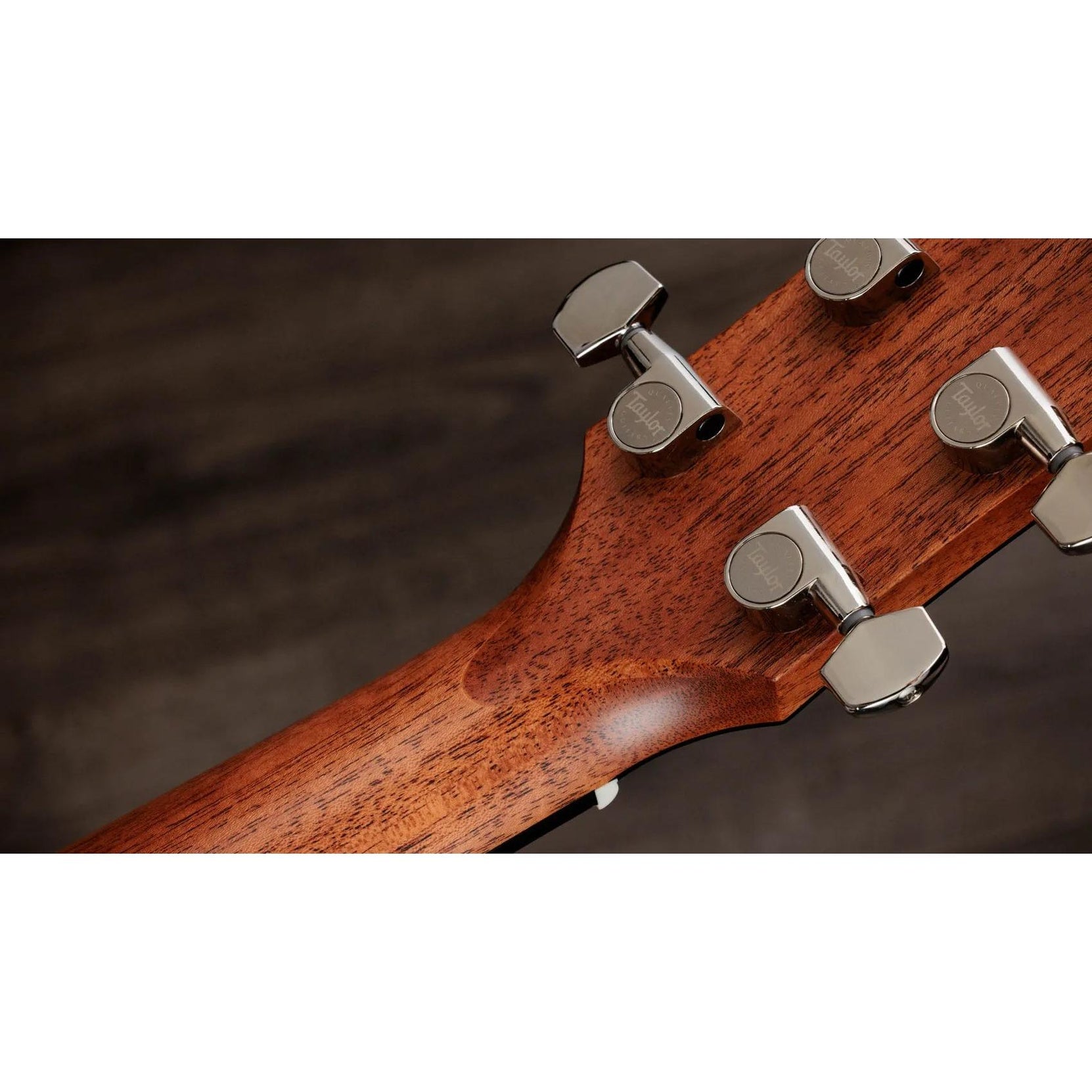 Đàn Guitar Acoustic Taylor Gold Label 510e - Natural-Mai Nguyên Music