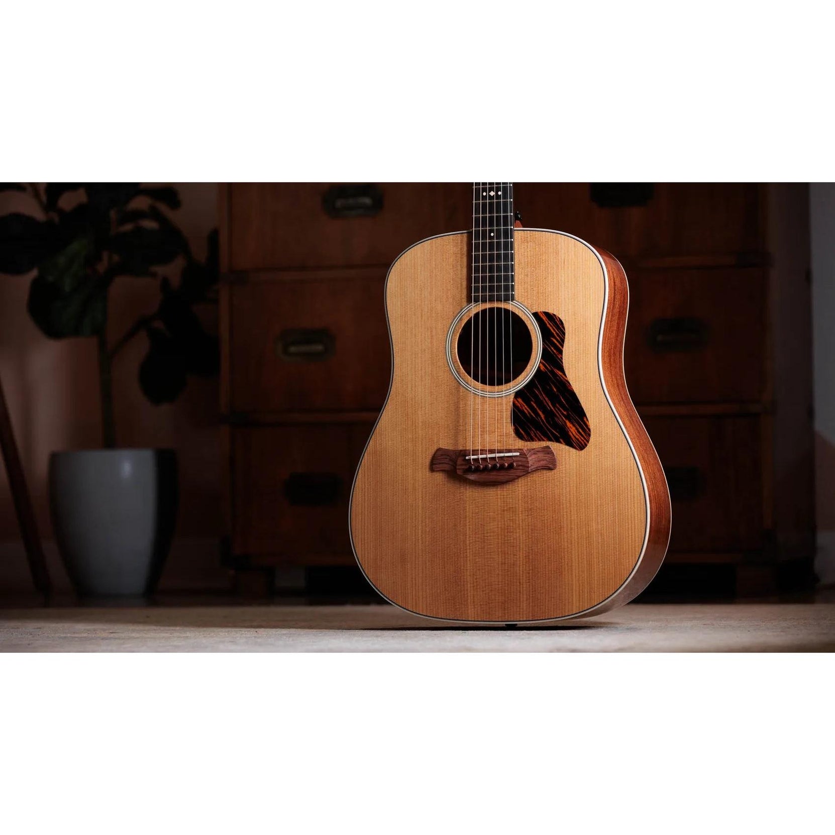 Đàn Guitar Acoustic Taylor Gold Label 510e - Natural-Mai Nguyên Music