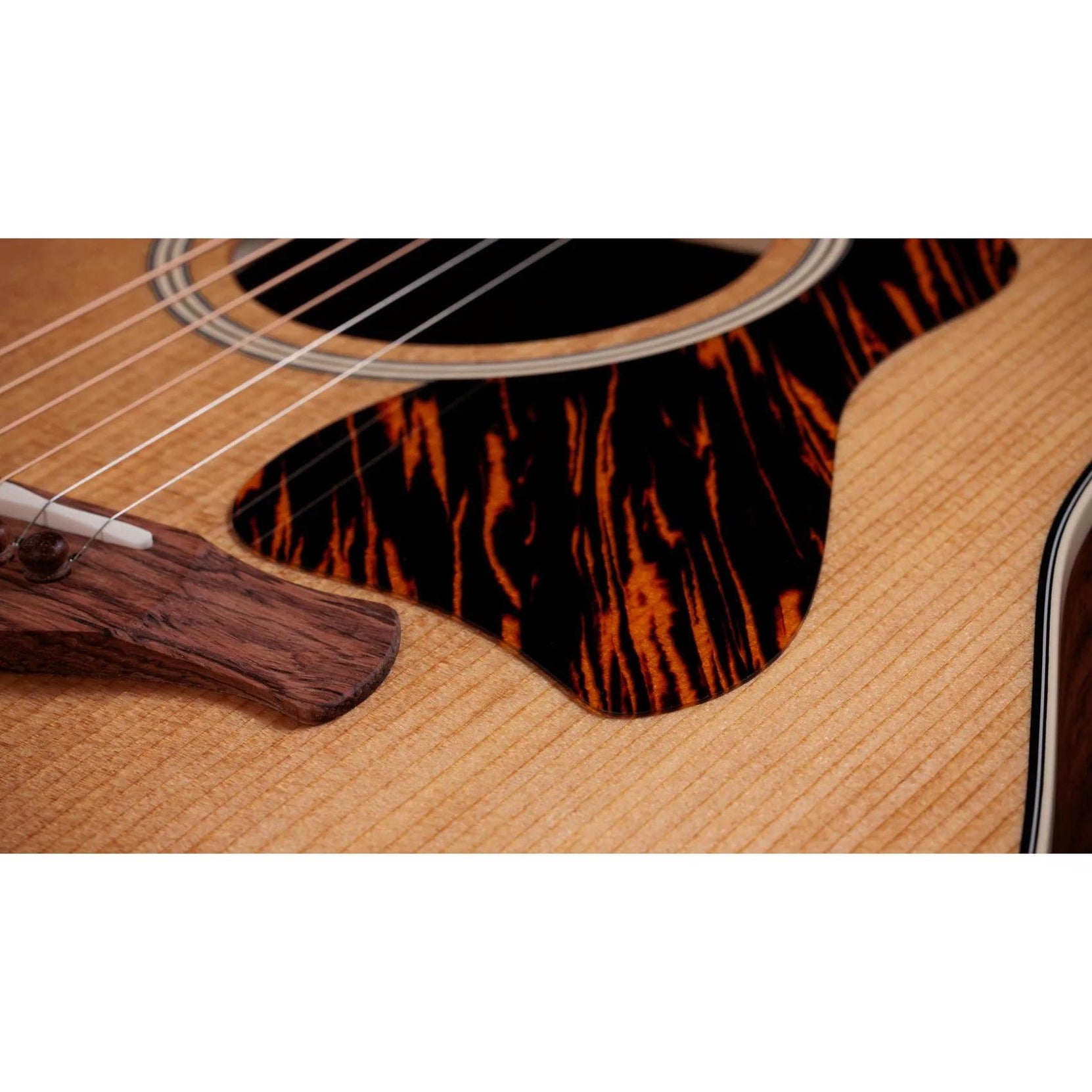 Đàn Guitar Acoustic Taylor Gold Label 510e - Natural-Mai Nguyên Music