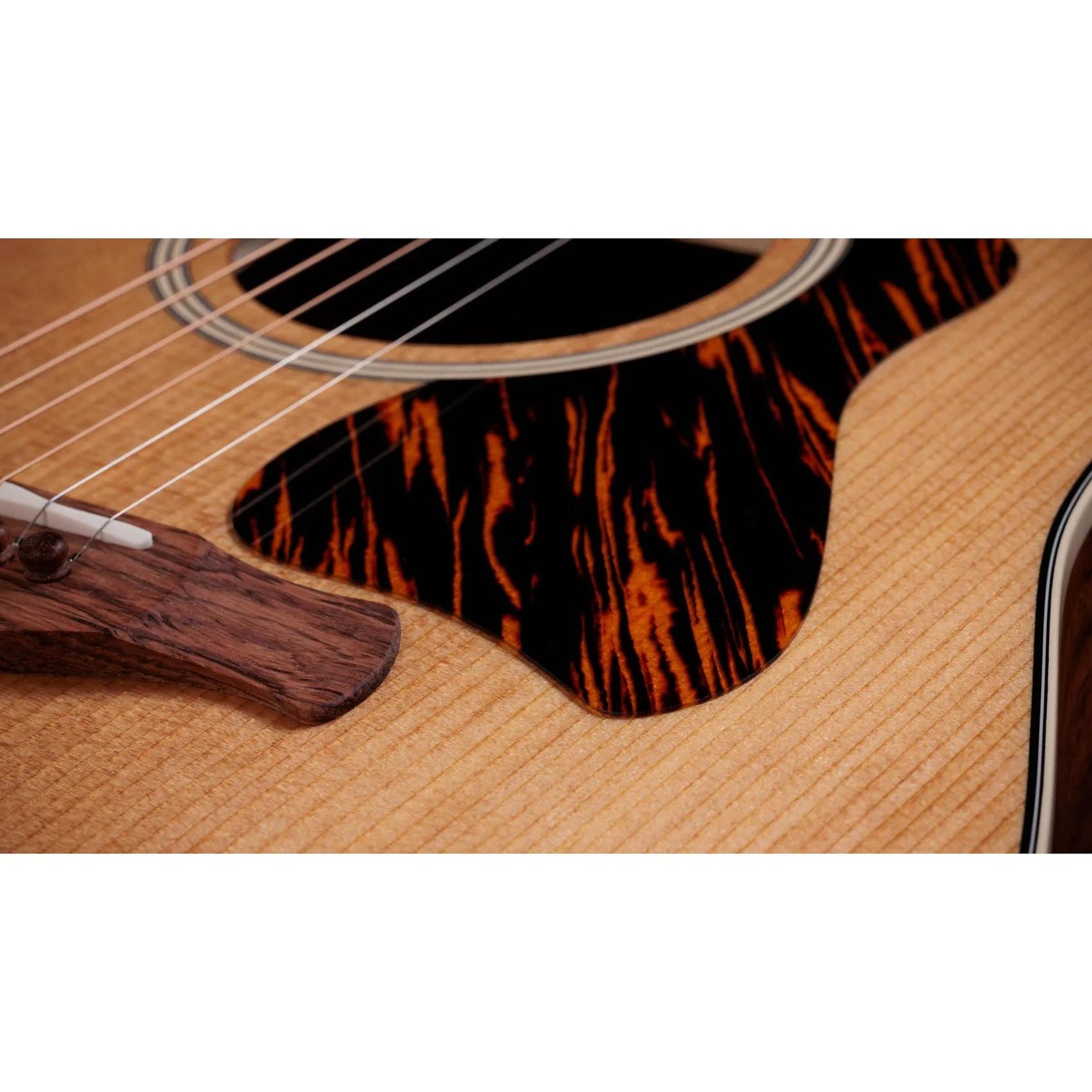 Đàn Guitar Acoustic Taylor Gold Label 510e - Natural-Mai Nguyên Music
