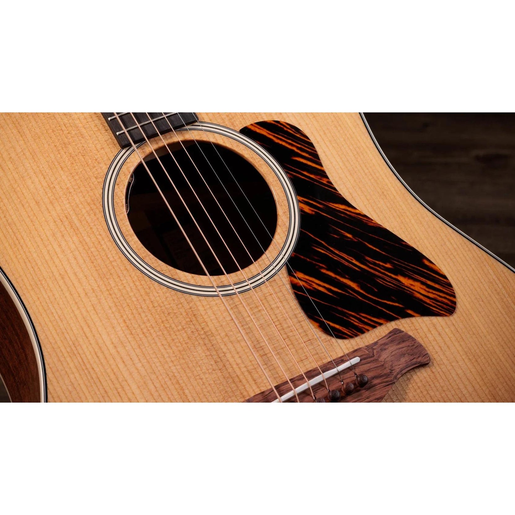Đàn Guitar Acoustic Taylor Gold Label 510e - Natural-Mai Nguyên Music