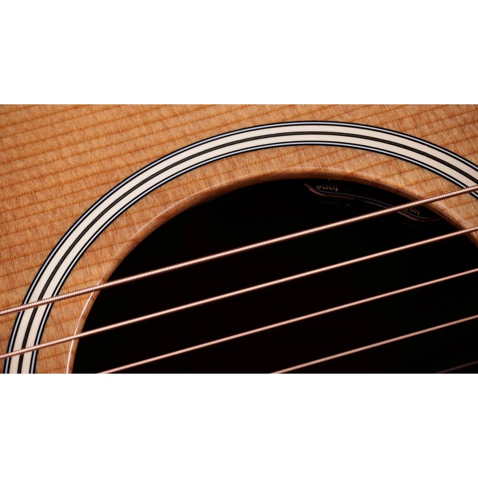 Đàn Guitar Acoustic Taylor Gold Label 510e - Natural-Mai Nguyên Music