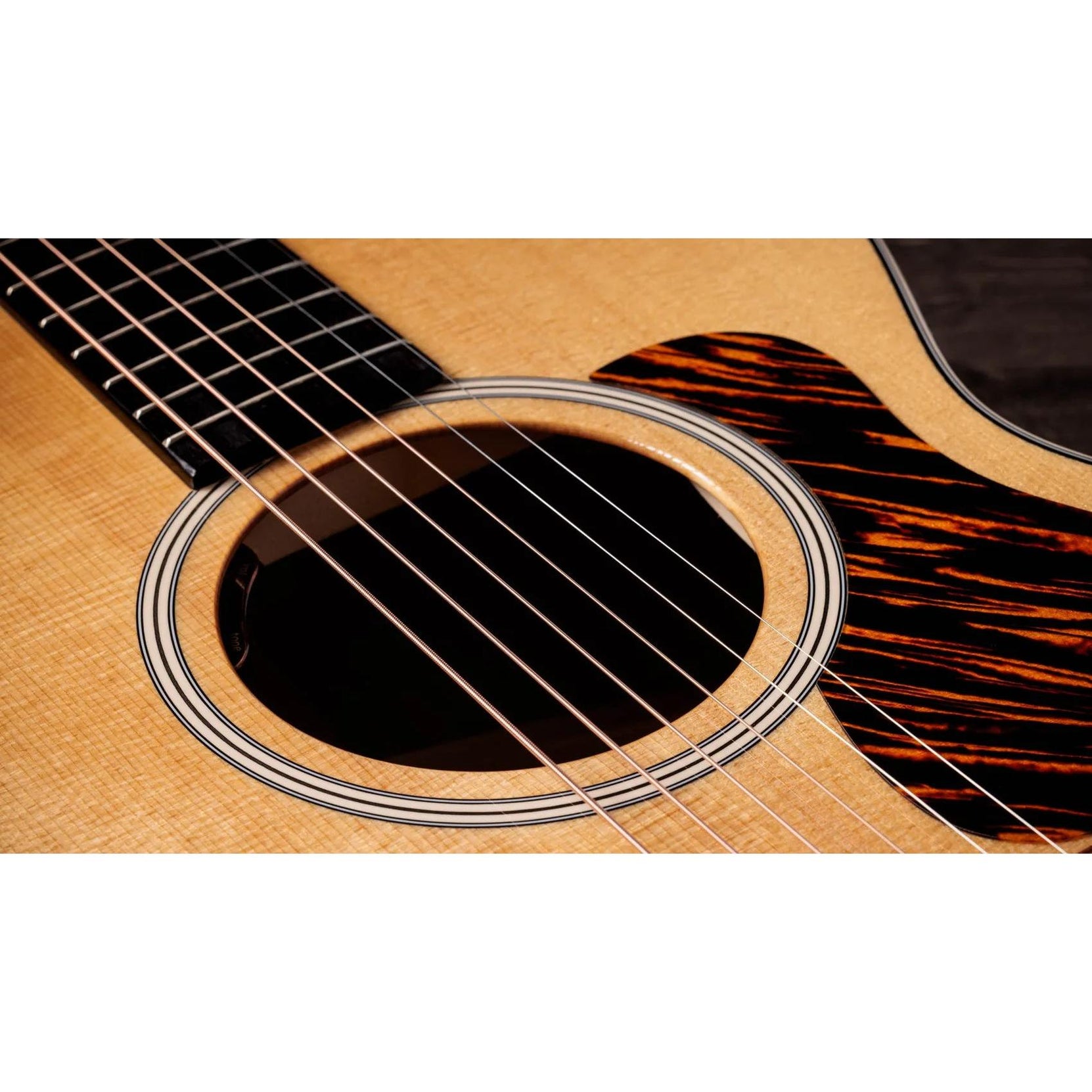 Đàn Guitar Acoustic Taylor Gold Label 512e - Natural-Mai Nguyên Music