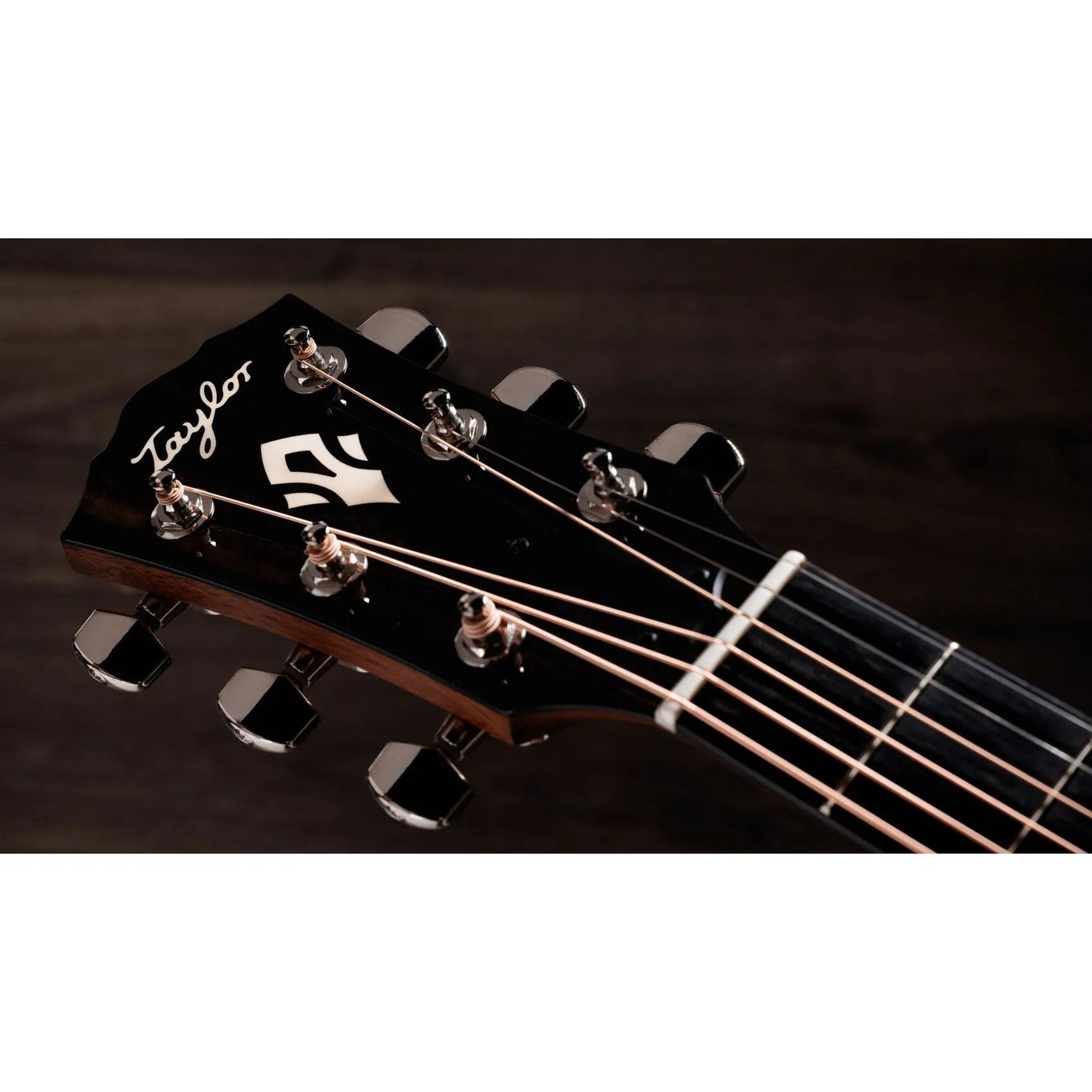 Đàn Guitar Acoustic Taylor Gold Label 512e - Natural-Mai Nguyên Music