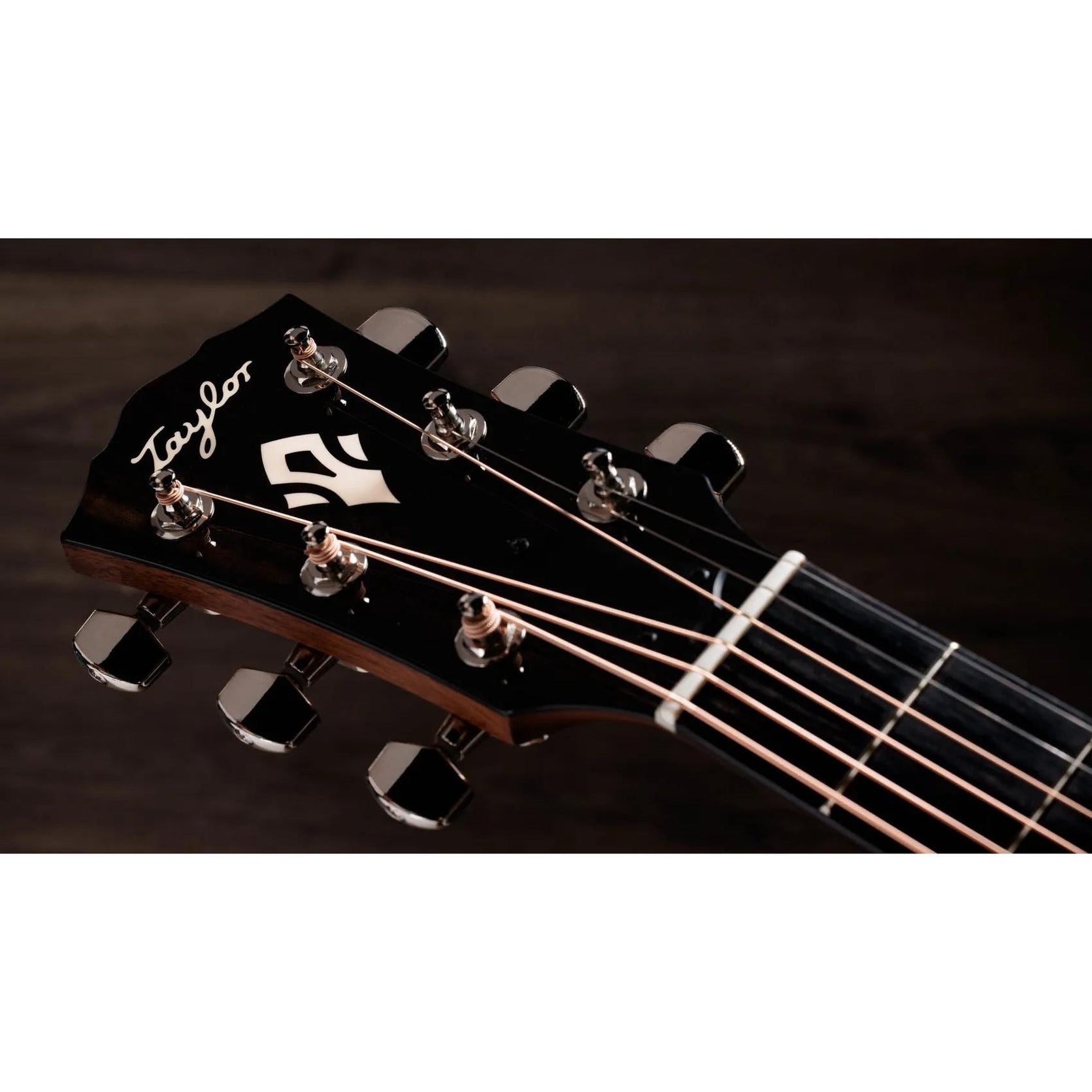 Đàn Guitar Acoustic Taylor Gold Label 512e - Natural-Mai Nguyên Music