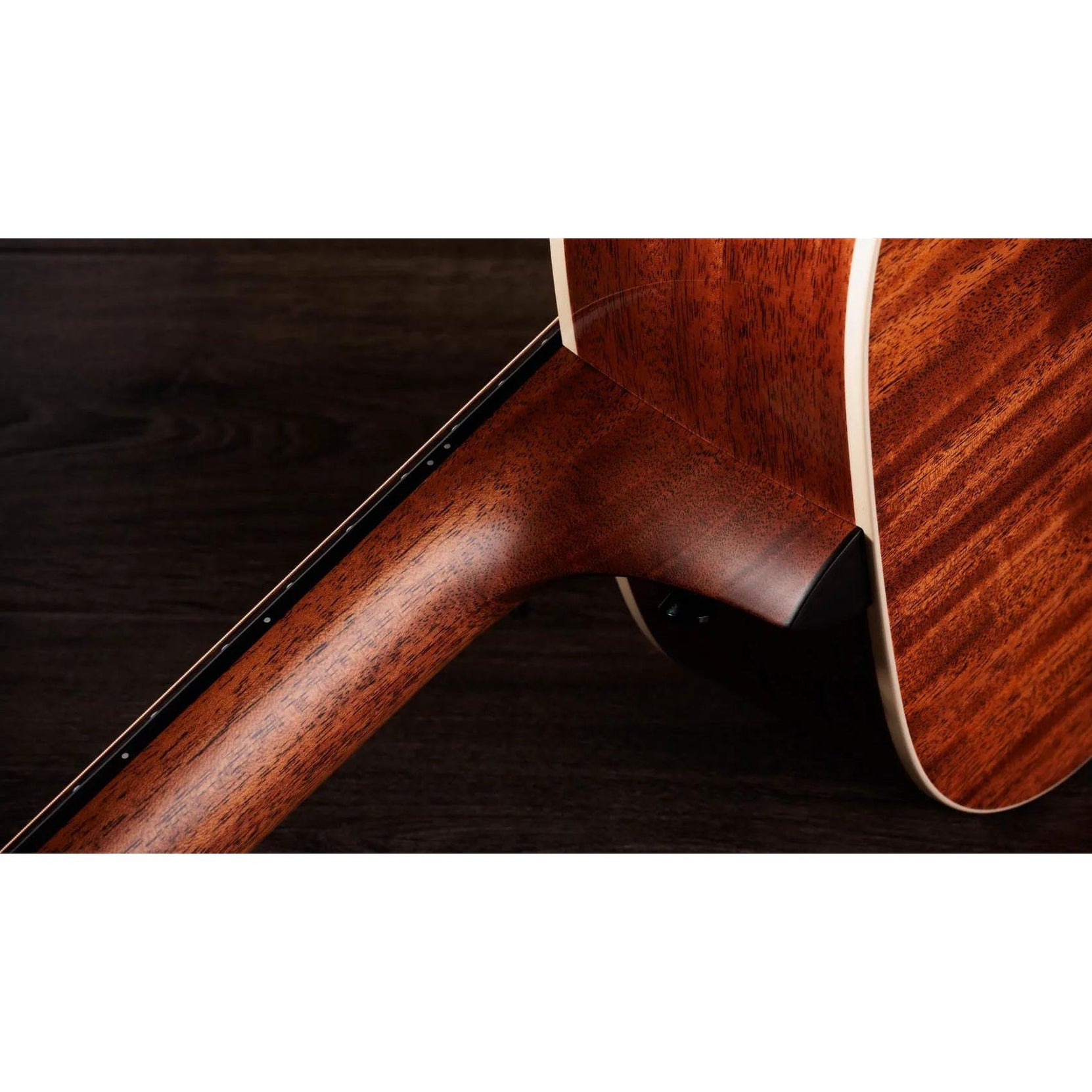 Đàn Guitar Acoustic Taylor Gold Label 512e - Natural-Mai Nguyên Music