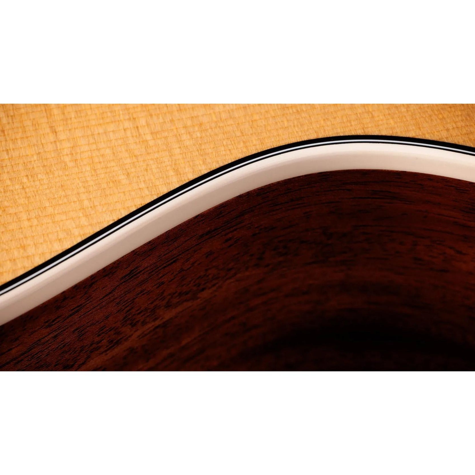 Đàn Guitar Acoustic Taylor Gold Label 512e - Natural-Mai Nguyên Music