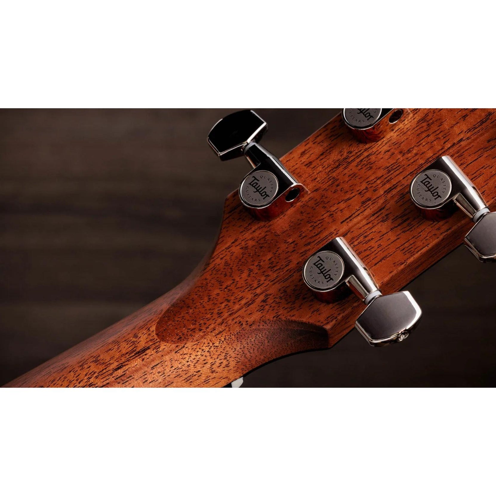 Đàn Guitar Acoustic Taylor Gold Label 512e - Natural-Mai Nguyên Music