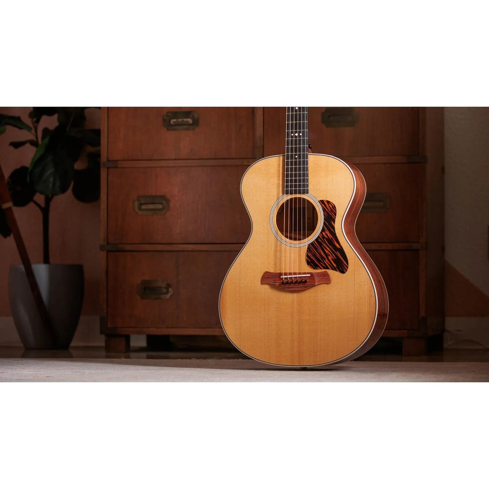 Đàn Guitar Acoustic Taylor Gold Label 512e - Natural-Mai Nguyên Music