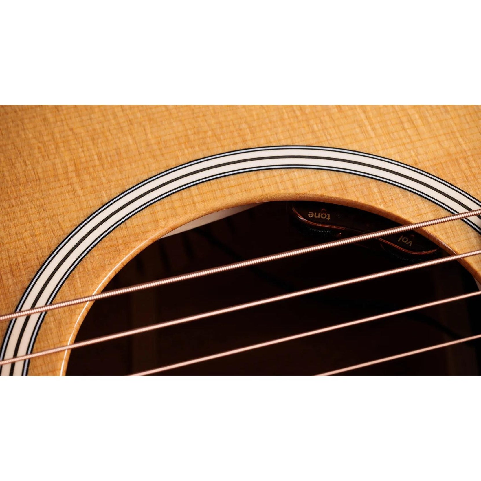 Đàn Guitar Acoustic Taylor Gold Label 512e - Natural-Mai Nguyên Music