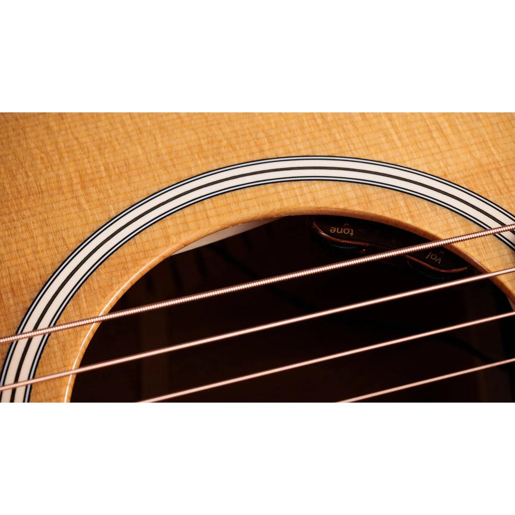 Đàn Guitar Acoustic Taylor Gold Label 512e - Natural-Mai Nguyên Music