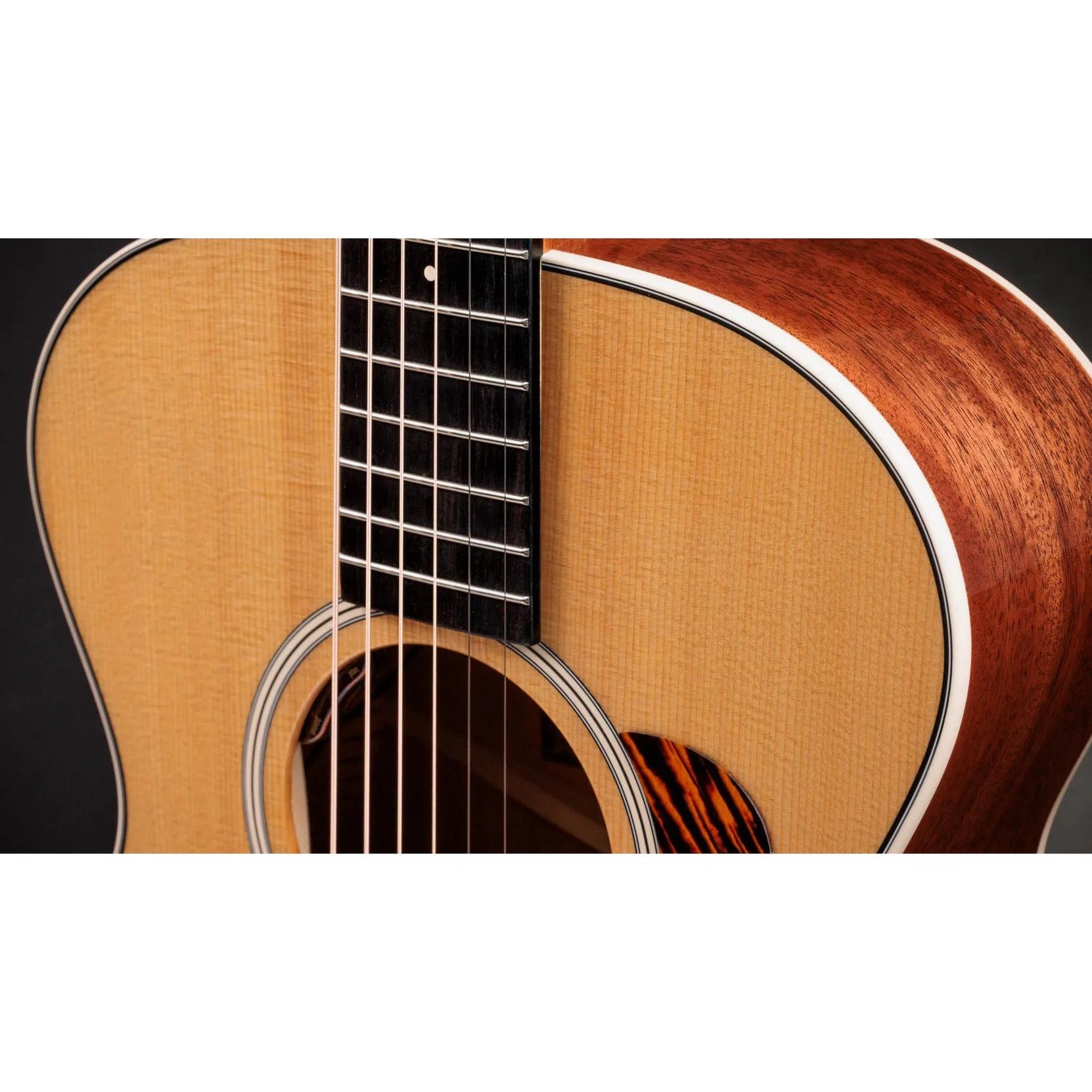 Đàn Guitar Acoustic Taylor Gold Label 512e - Natural-Mai Nguyên Music