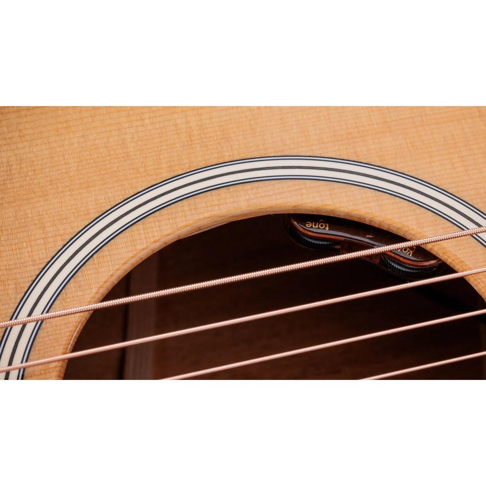 Đàn Guitar Acoustic Taylor Gold Label 514e-Mai Nguyên Music