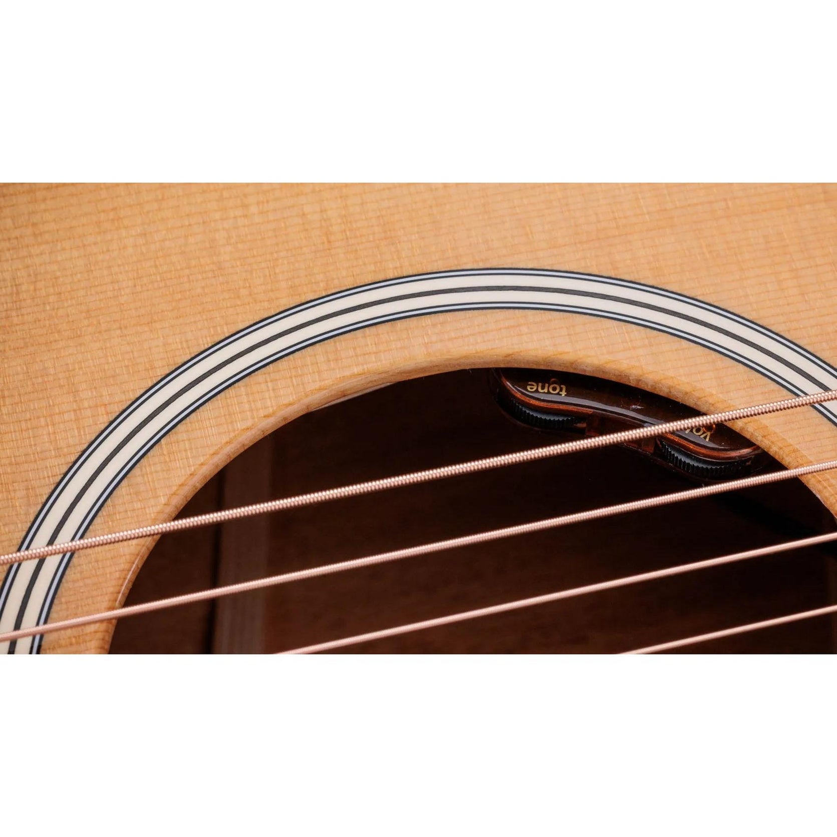 Đàn Guitar Acoustic Taylor Gold Label 514e-Mai Nguyên Music