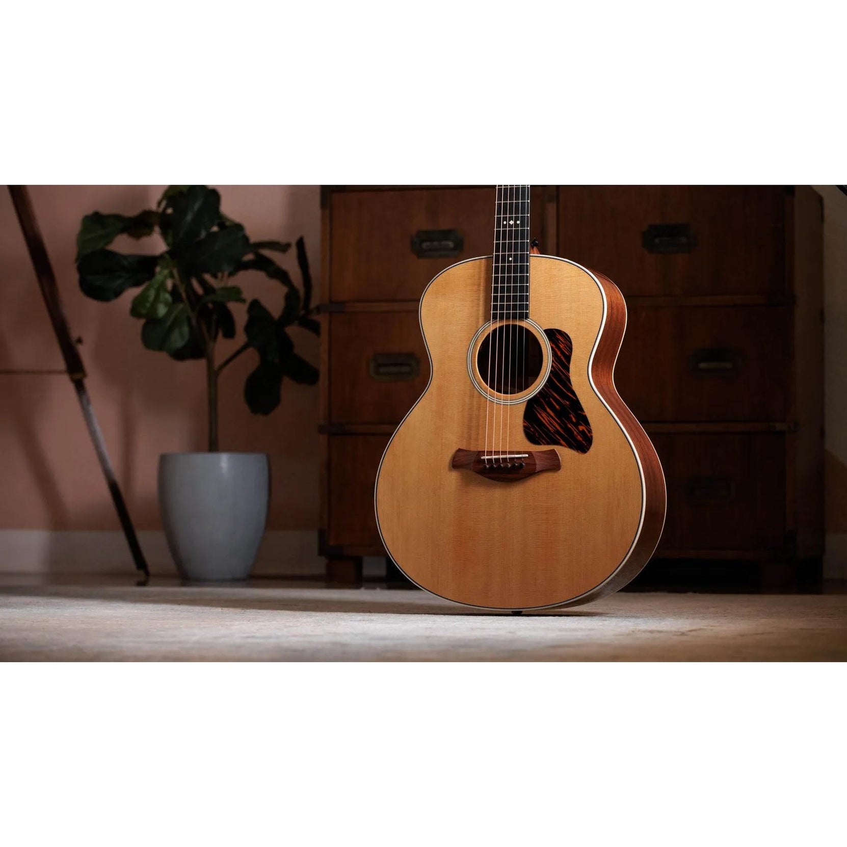 Đàn Guitar Acoustic Taylor Gold Label 514e-Mai Nguyên Music
