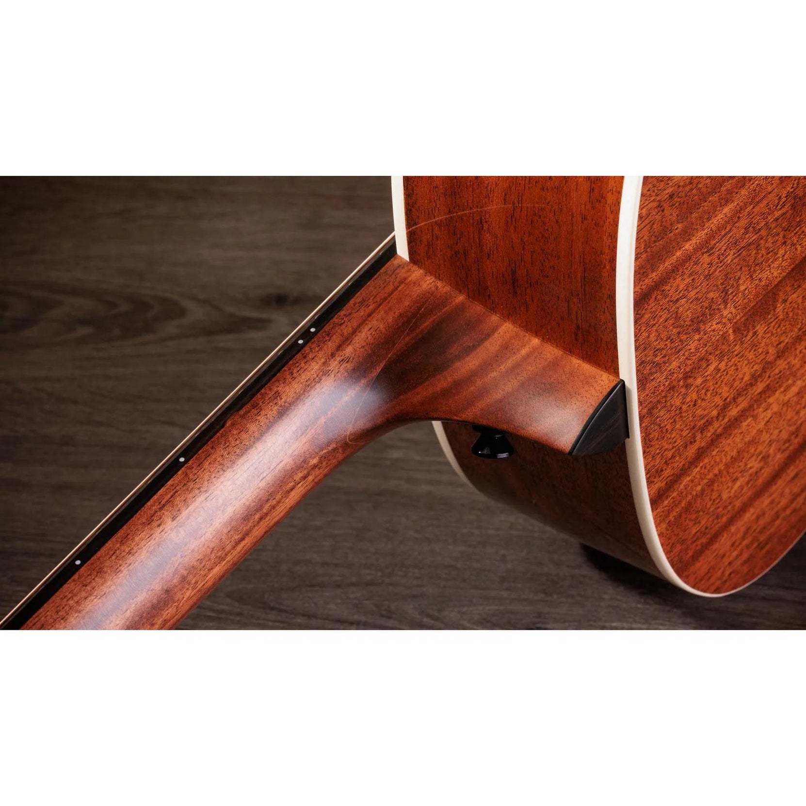 Đàn Guitar Acoustic Taylor Gold Label 514e-Mai Nguyên Music