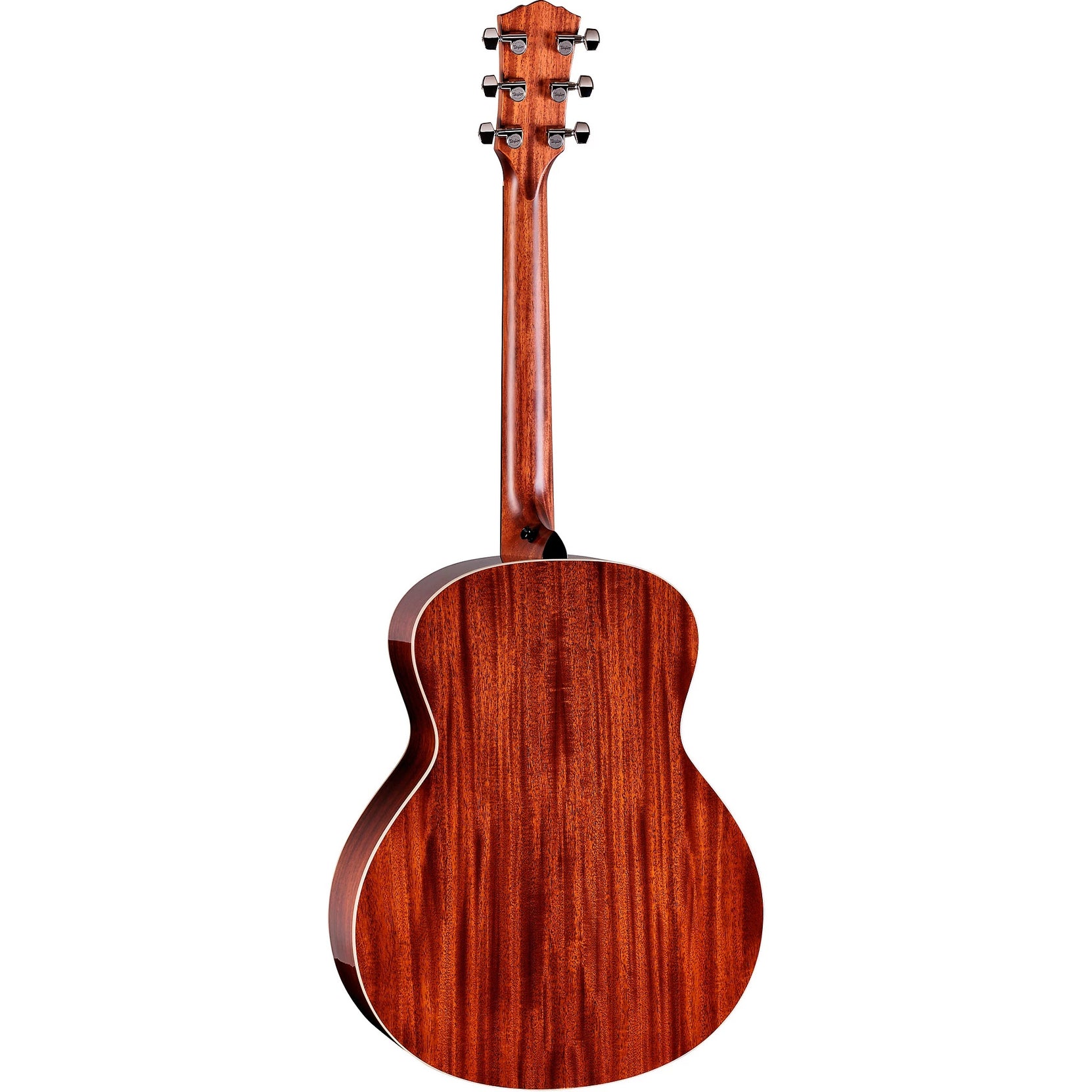 Đàn Guitar Acoustic Taylor Gold Label 514e-Mai Nguyên Music