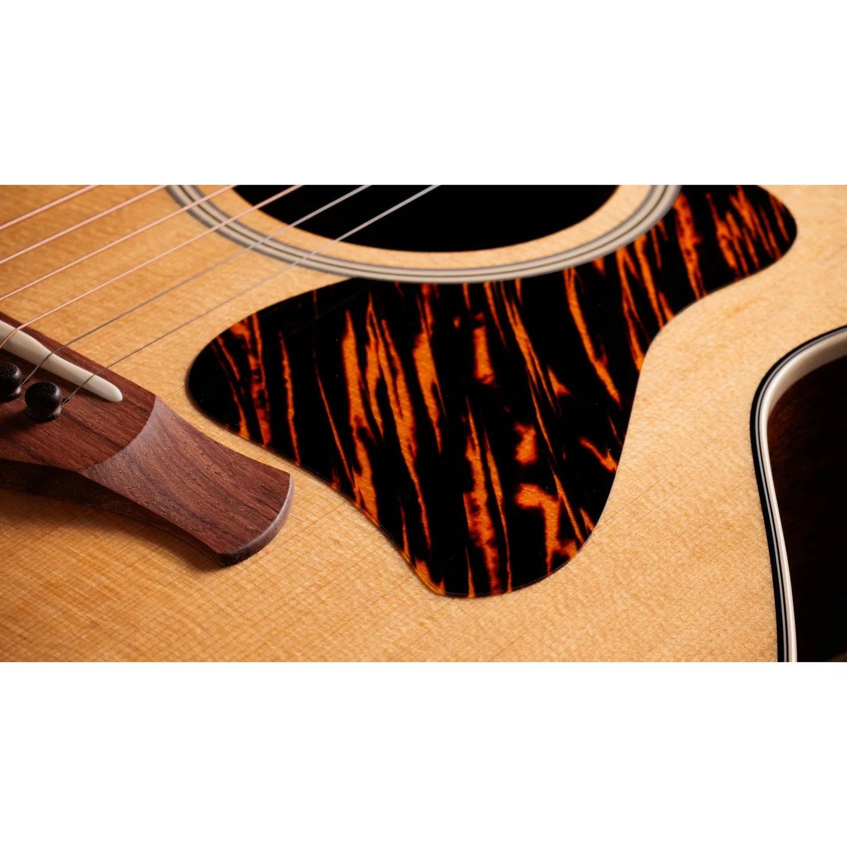Đàn Guitar Acoustic Taylor Gold Label 514e-Mai Nguyên Music