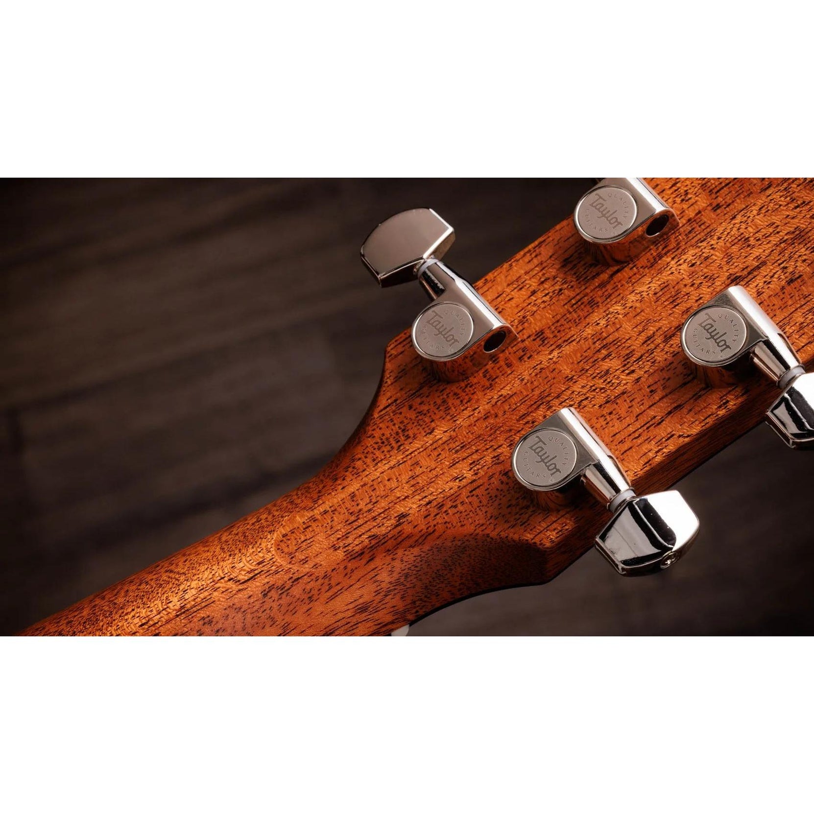 Đàn Guitar Acoustic Taylor Gold Label 514e-Mai Nguyên Music