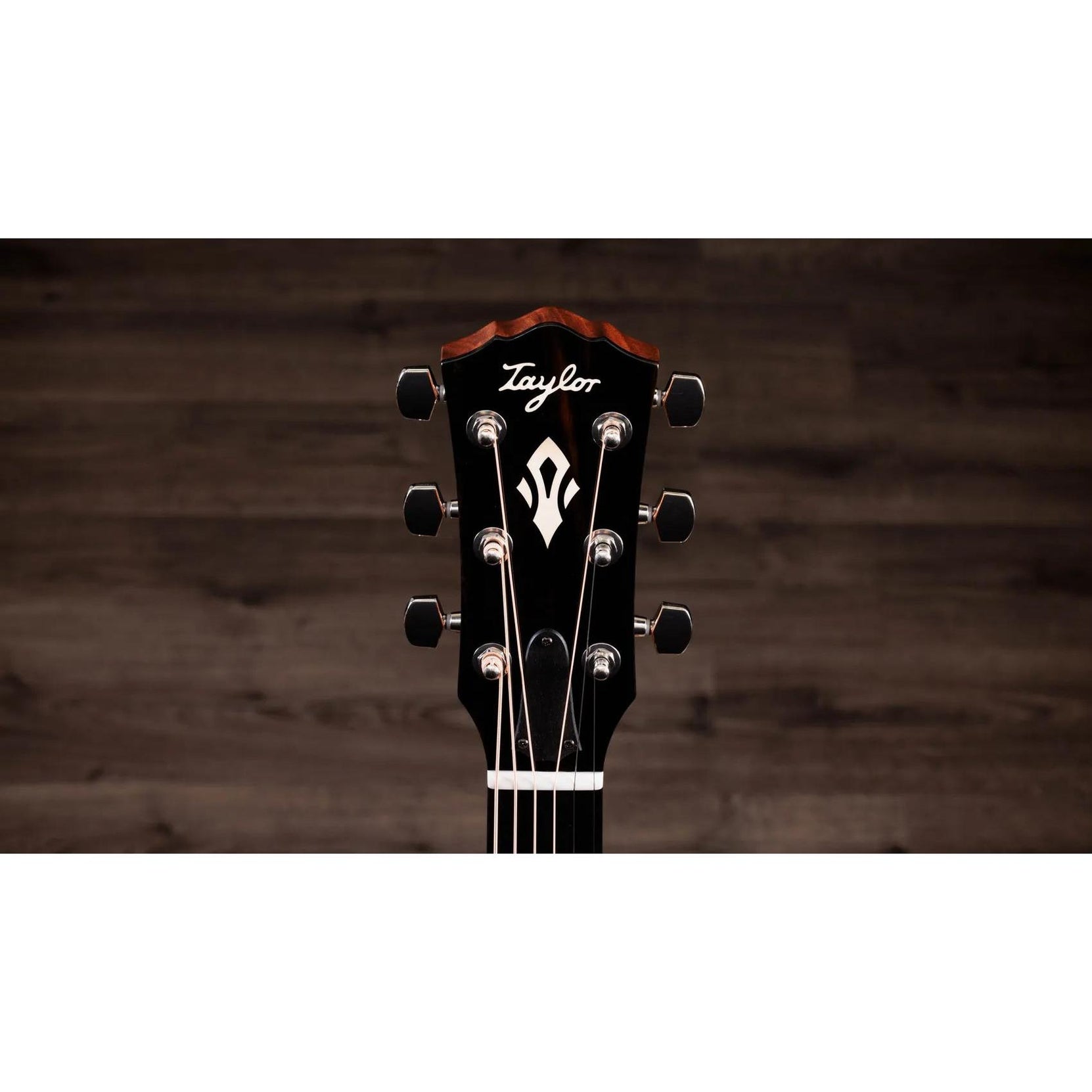 Đàn Guitar Acoustic Taylor Gold Label 514e-Mai Nguyên Music