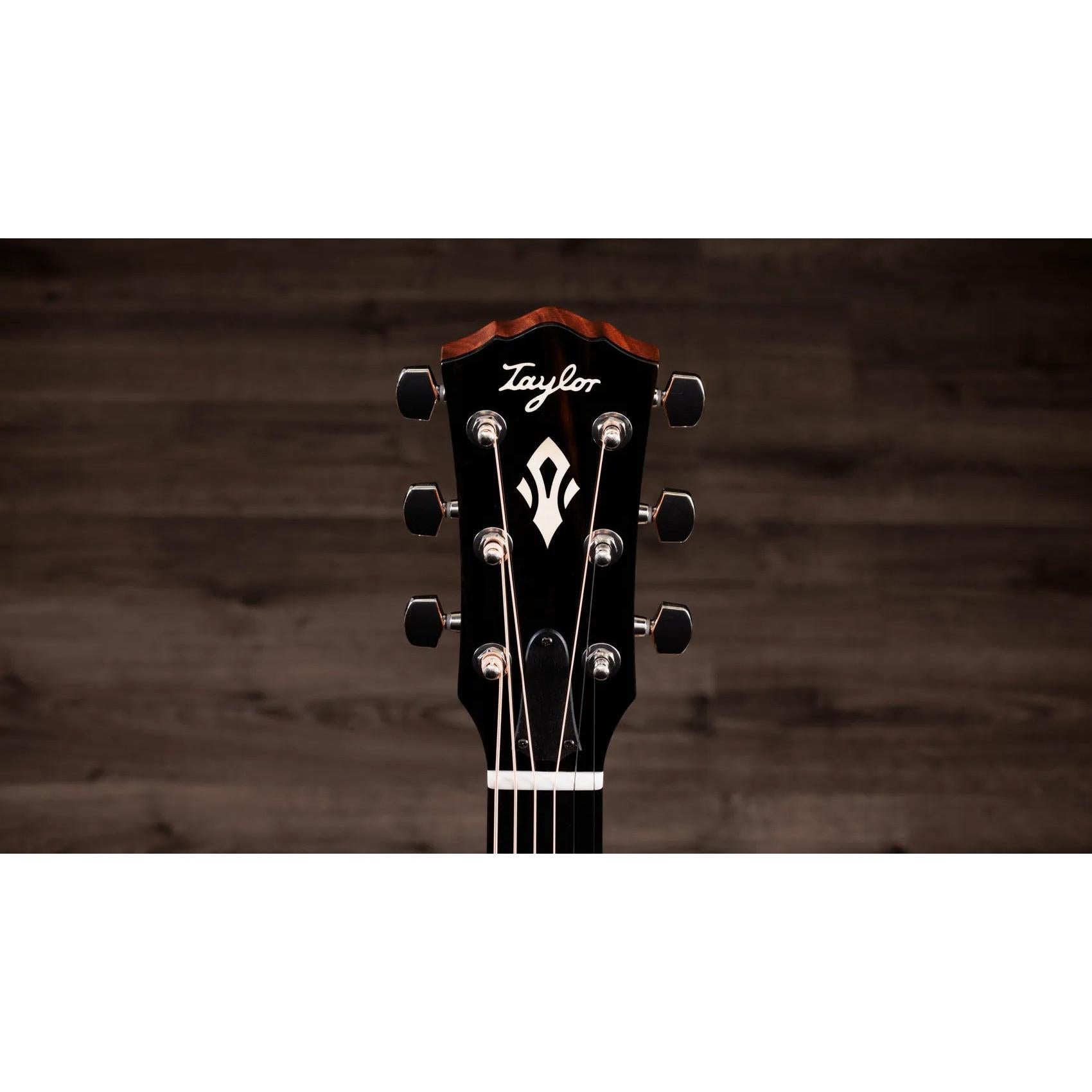 Đàn Guitar Acoustic Taylor Gold Label 514e-Mai Nguyên Music