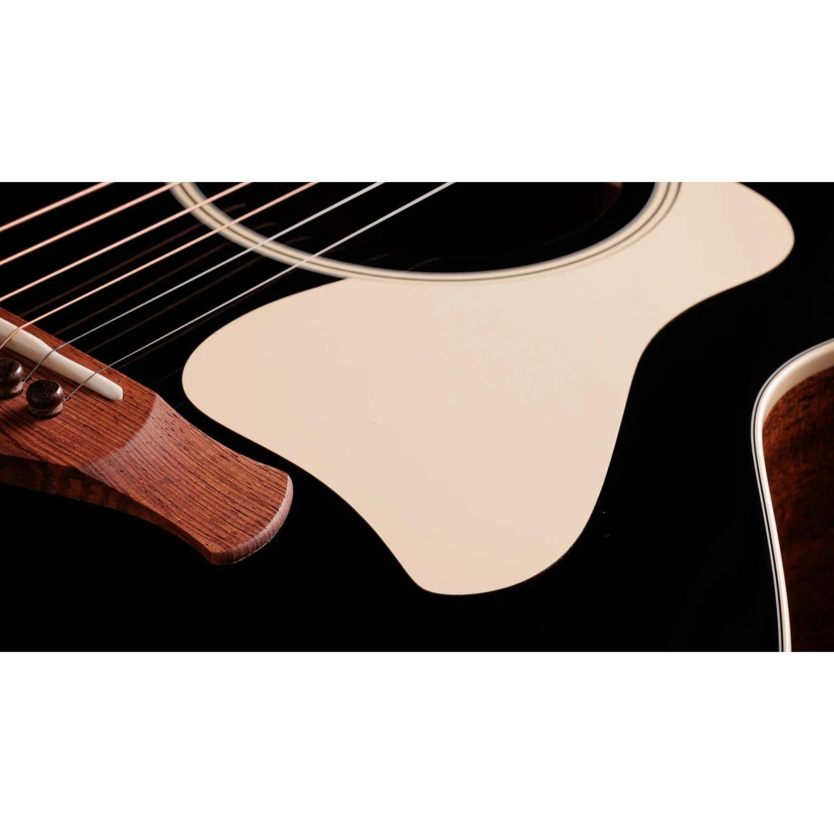 Đàn Guitar Acoustic Taylor Gold Label 514e-Mai Nguyên Music
