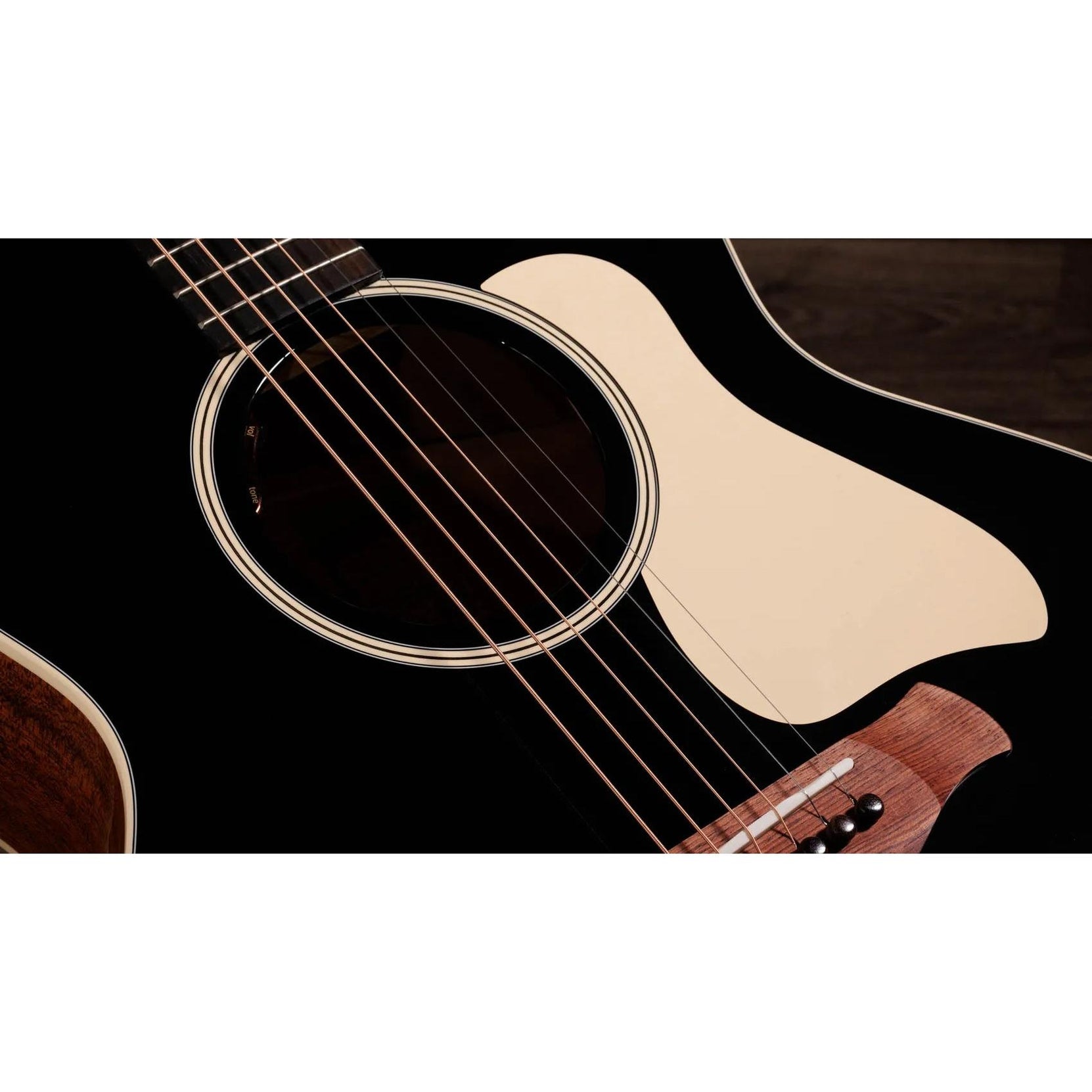 Đàn Guitar Acoustic Taylor Gold Label 514e-Mai Nguyên Music